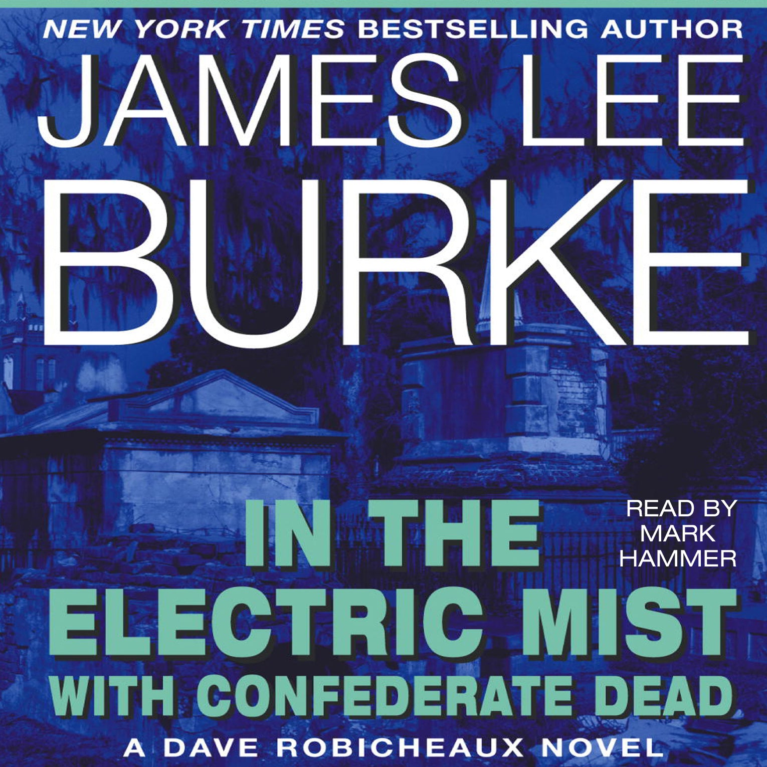 In the Electric Mist with Confederate Dead