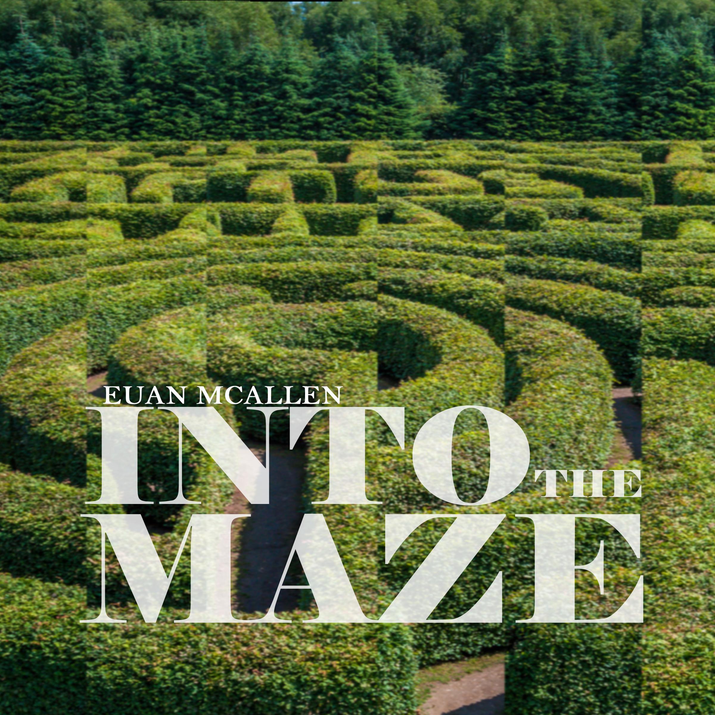 Into the Maze