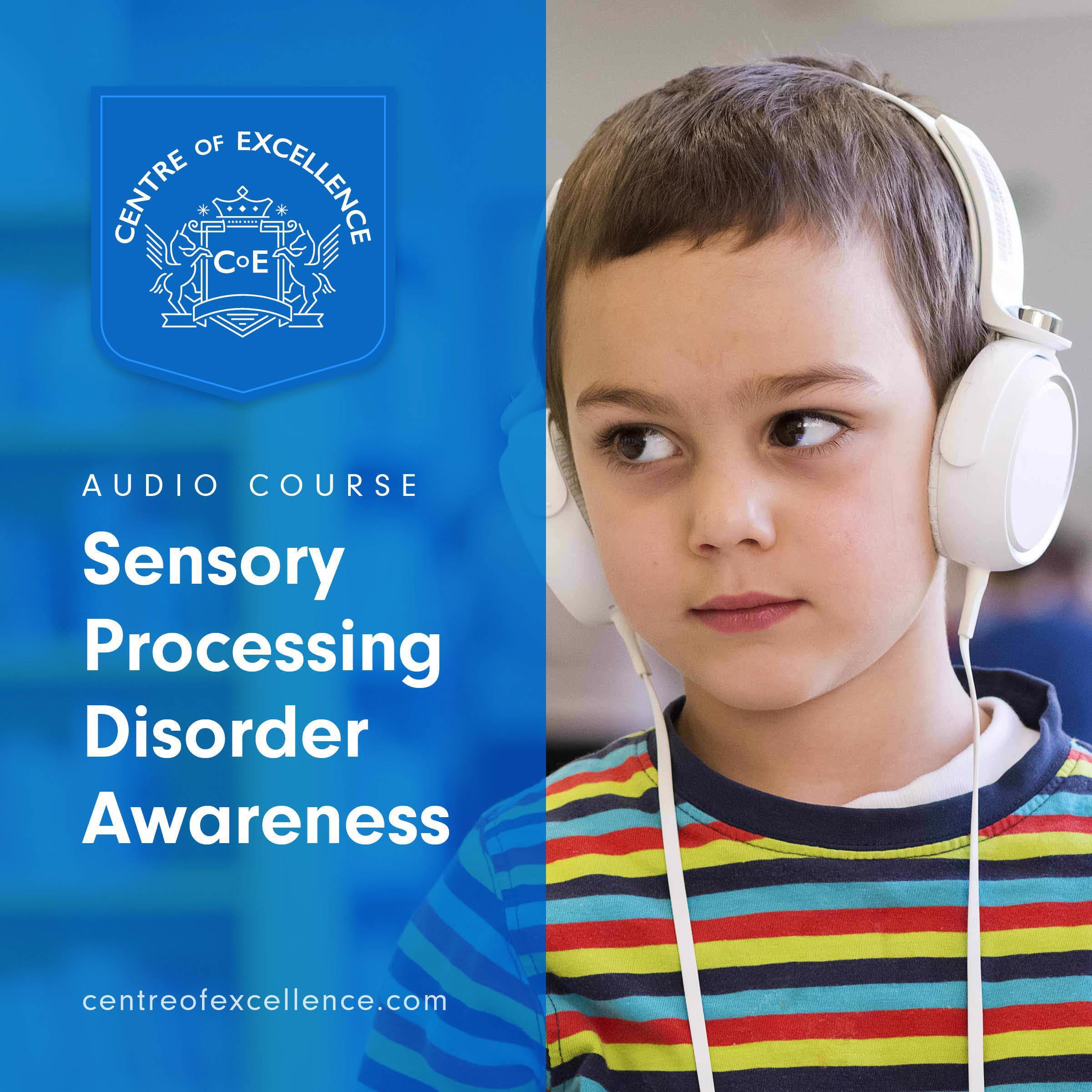 Sensory Processing Disorder Awareness