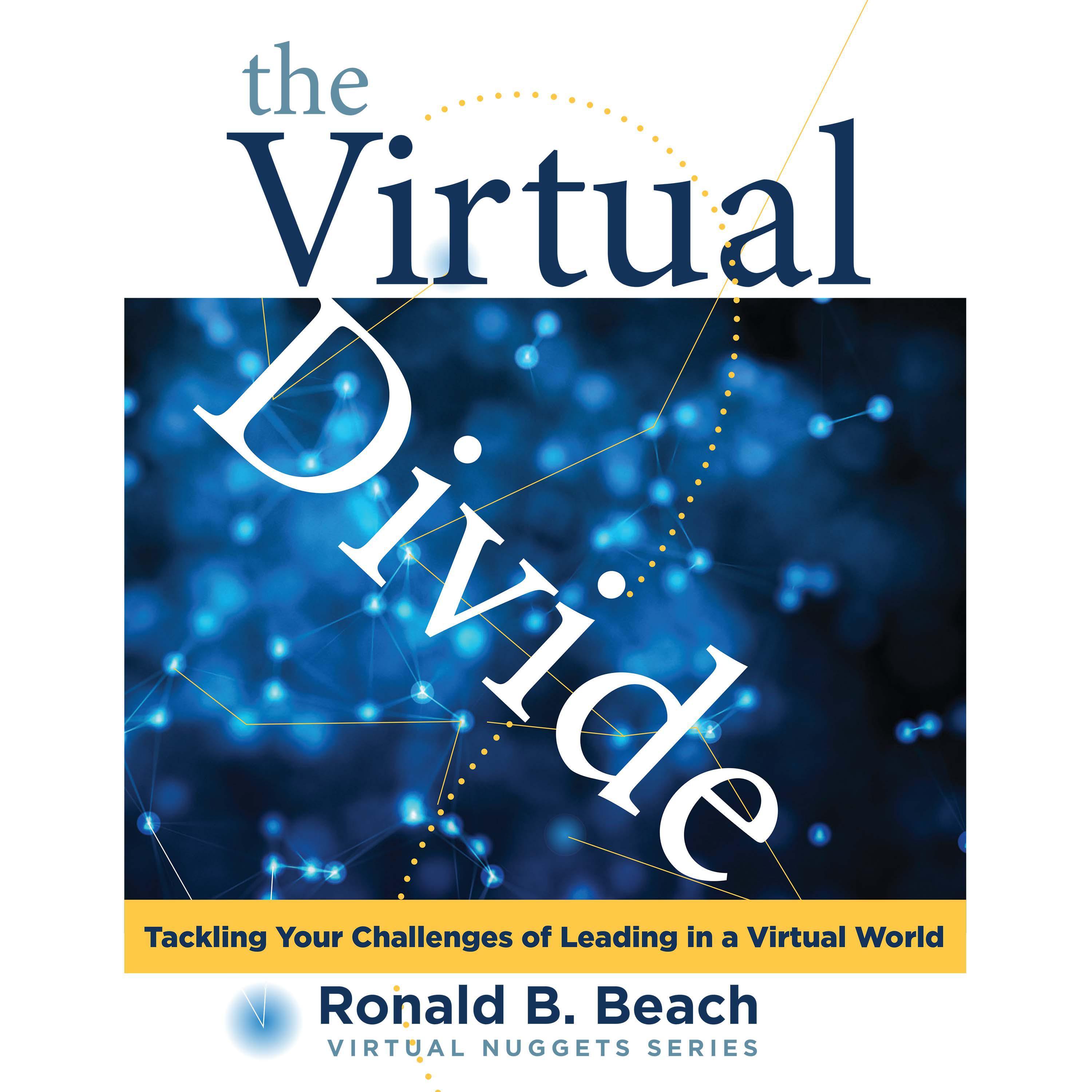 The Virtual Divide
