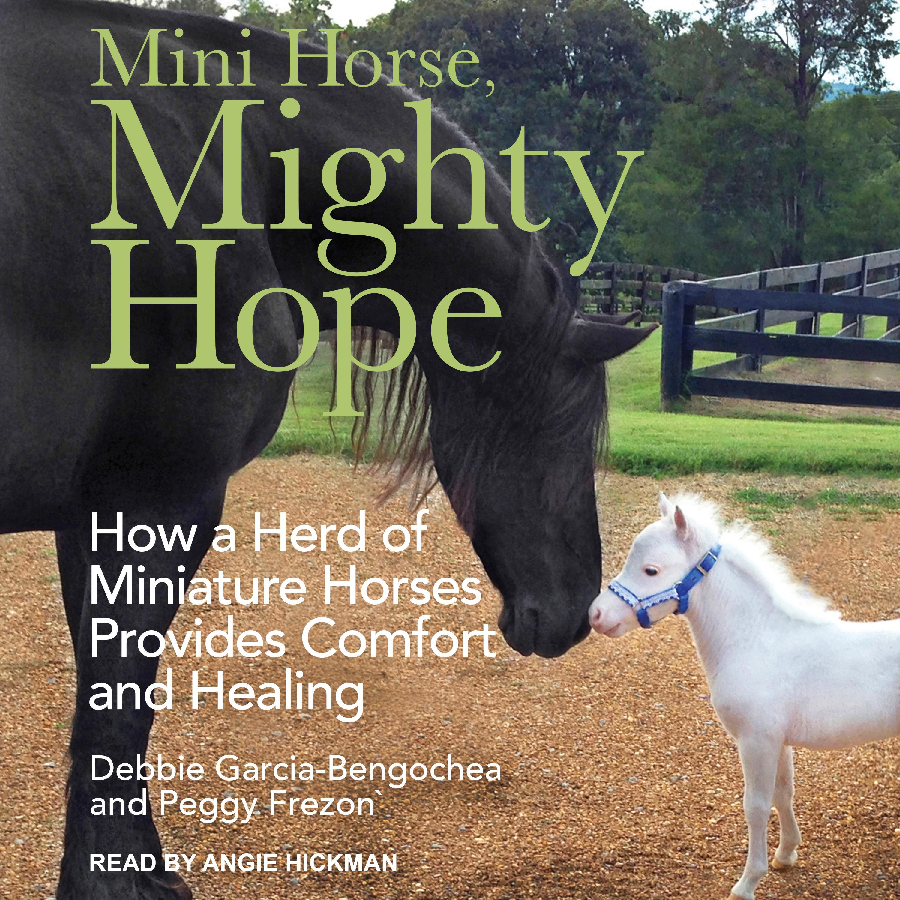 Mini Horse, Mighty Hope