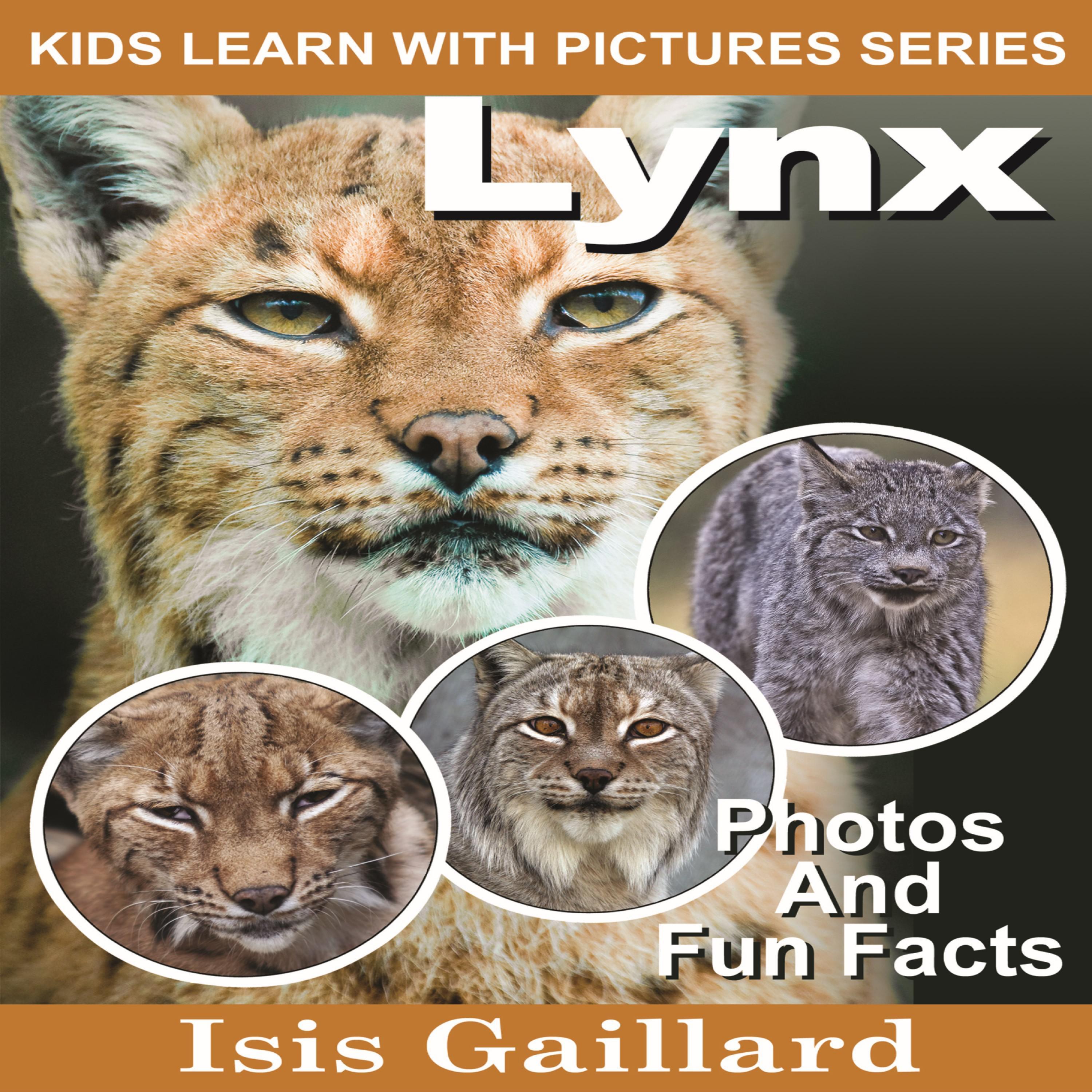 Lynx