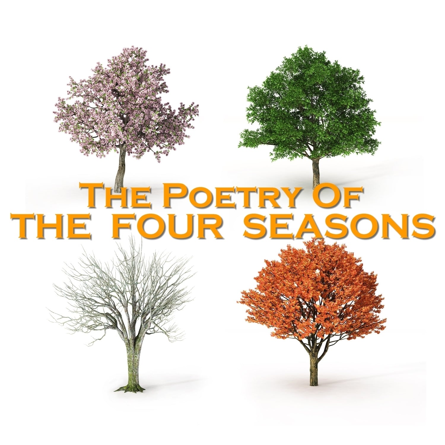 The Four Seasons