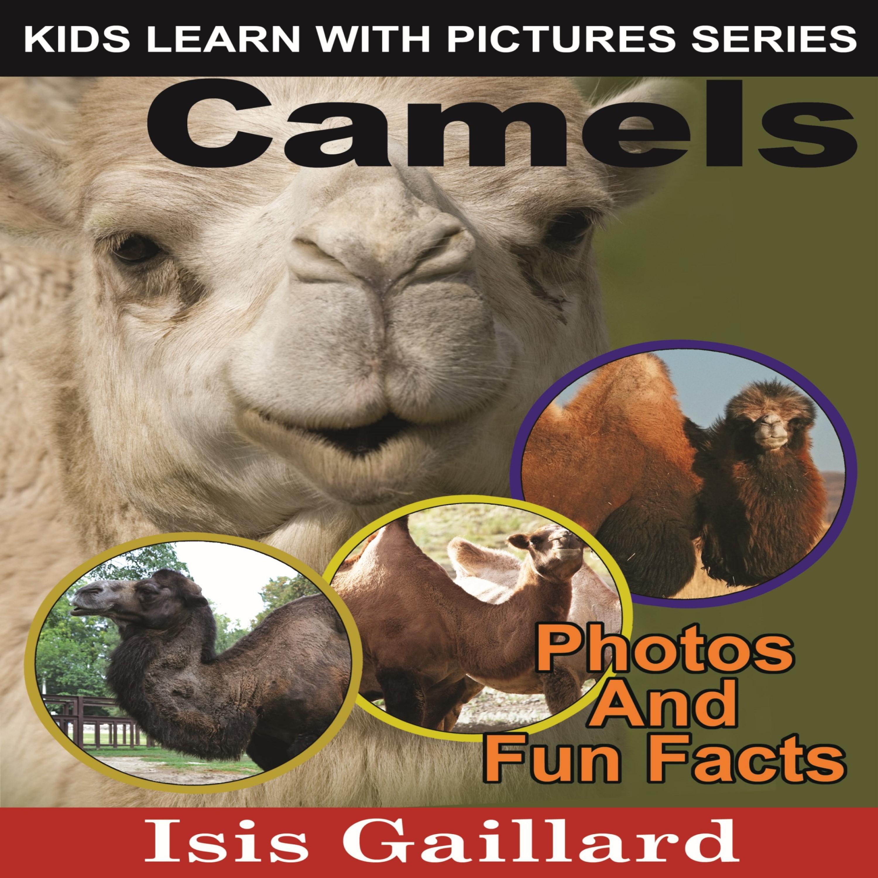 Camels