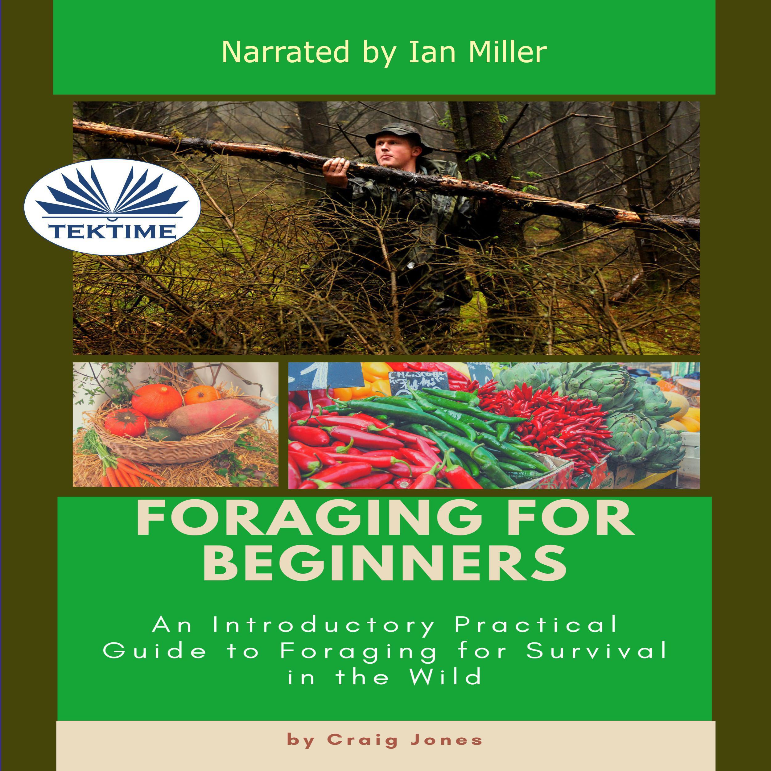 Foraging For Beginners
