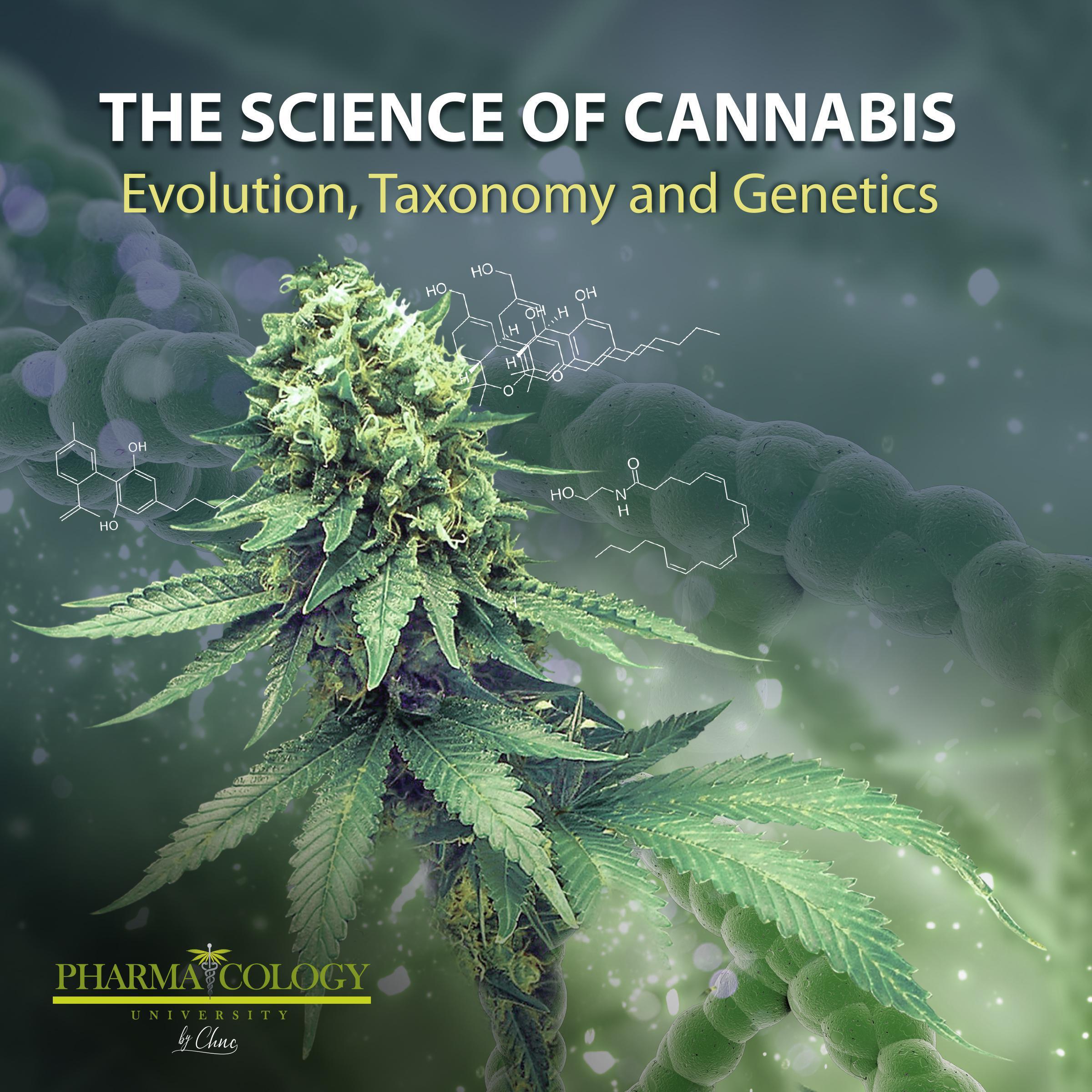 The science of cannabis