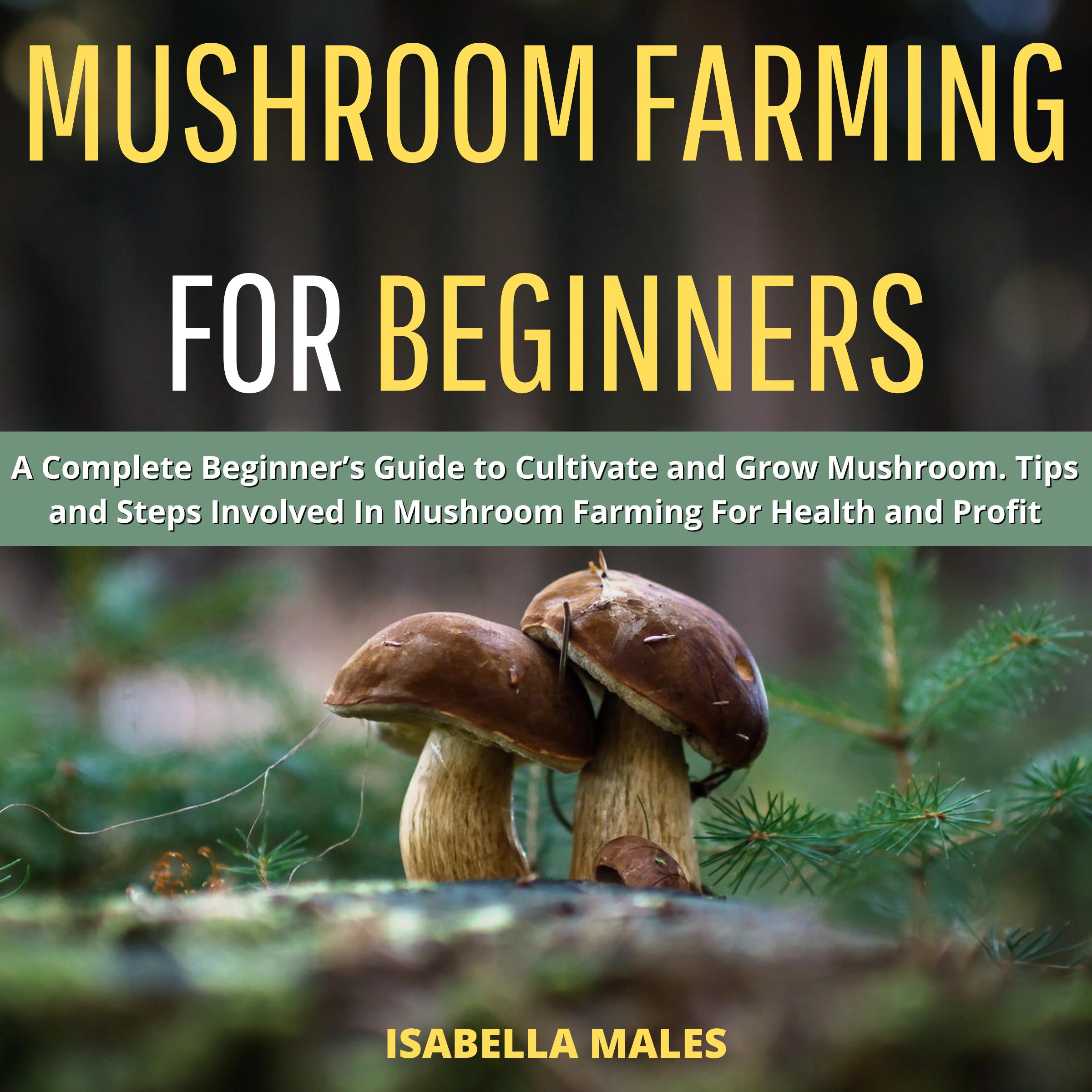 Mushroom Farming for Beginners