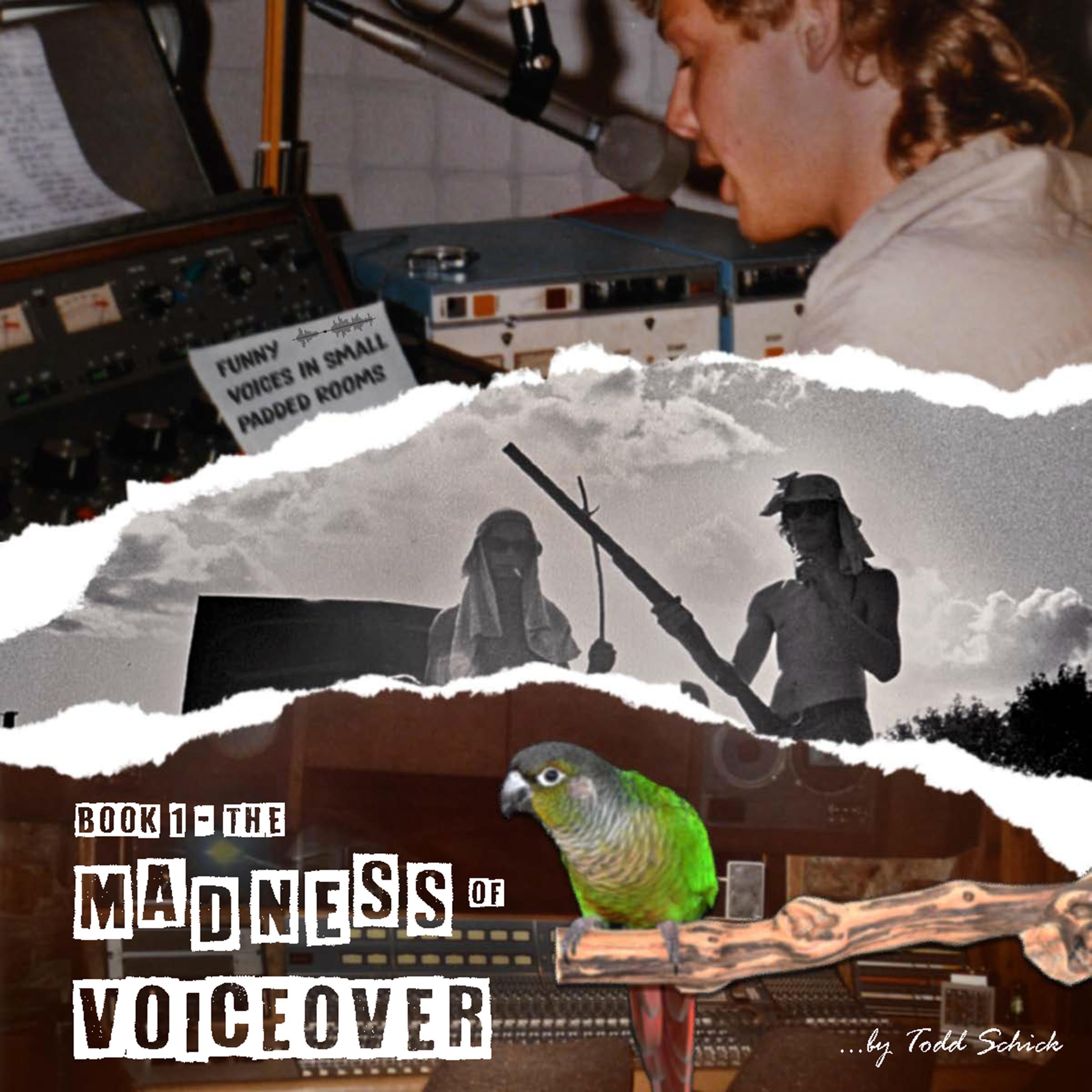 Funny Voices in Small Padded Rooms