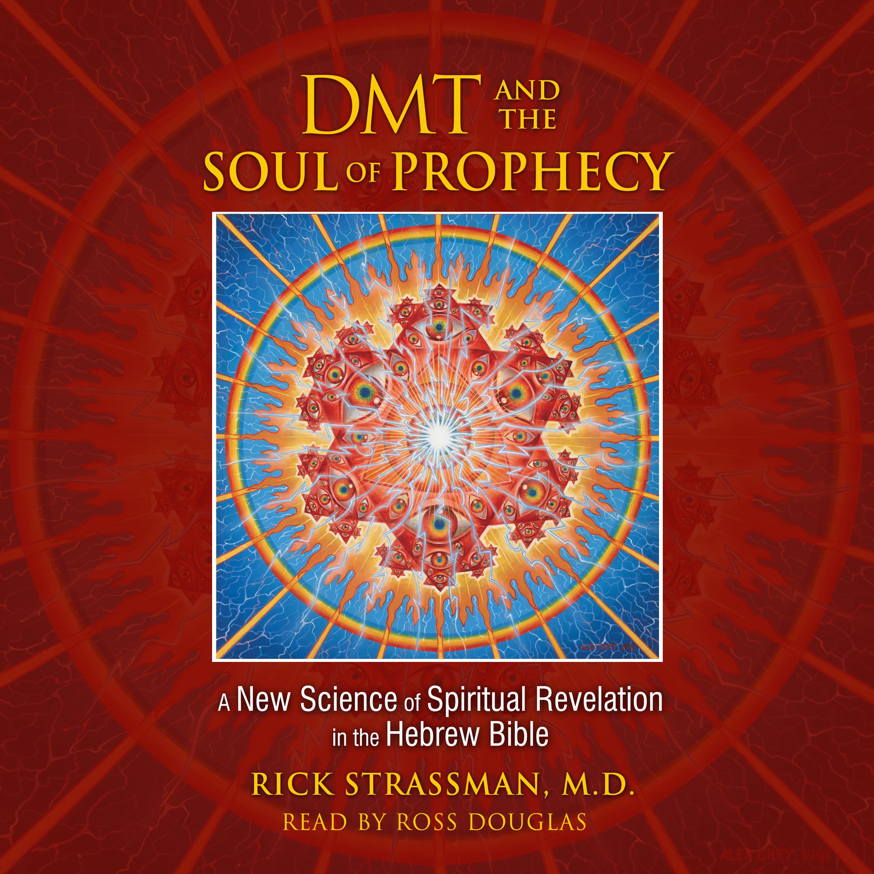 DMT and the Soul of Prophecy