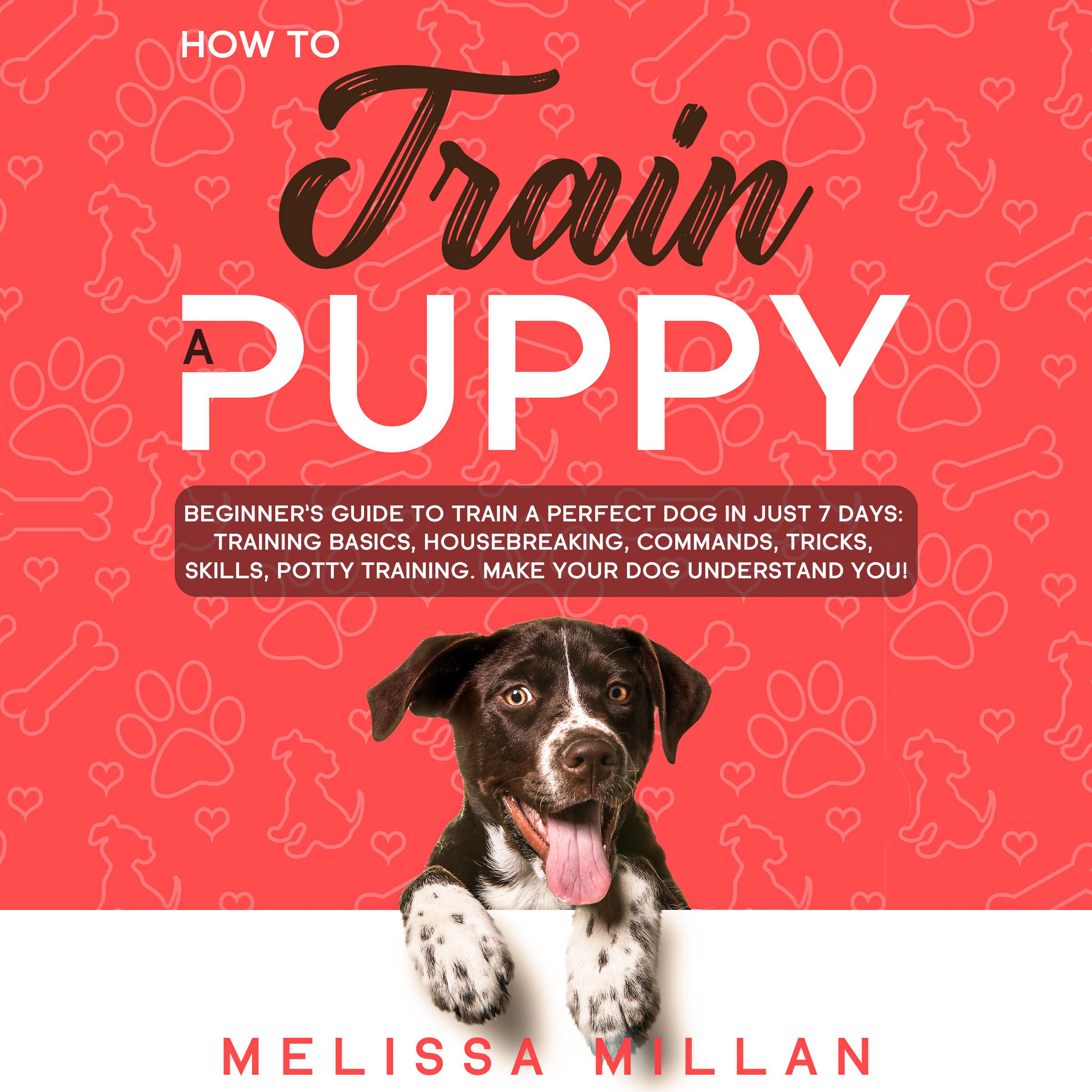 How to Train a Puppy