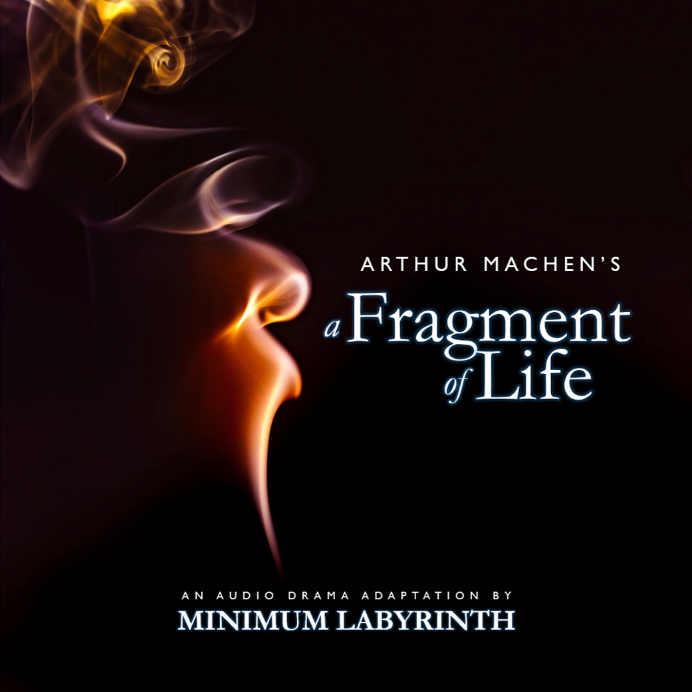 A Fragment of Life