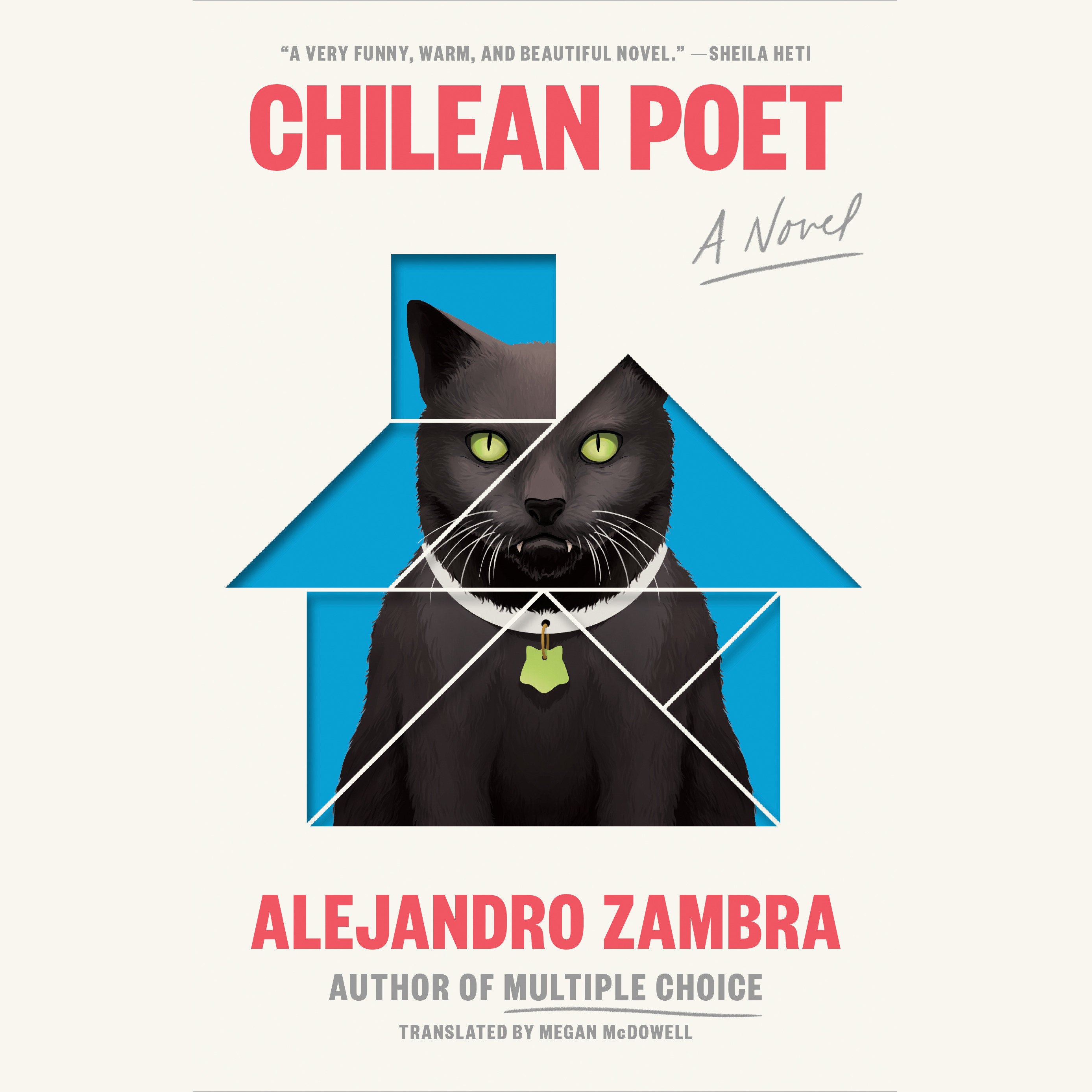 Chilean Poet