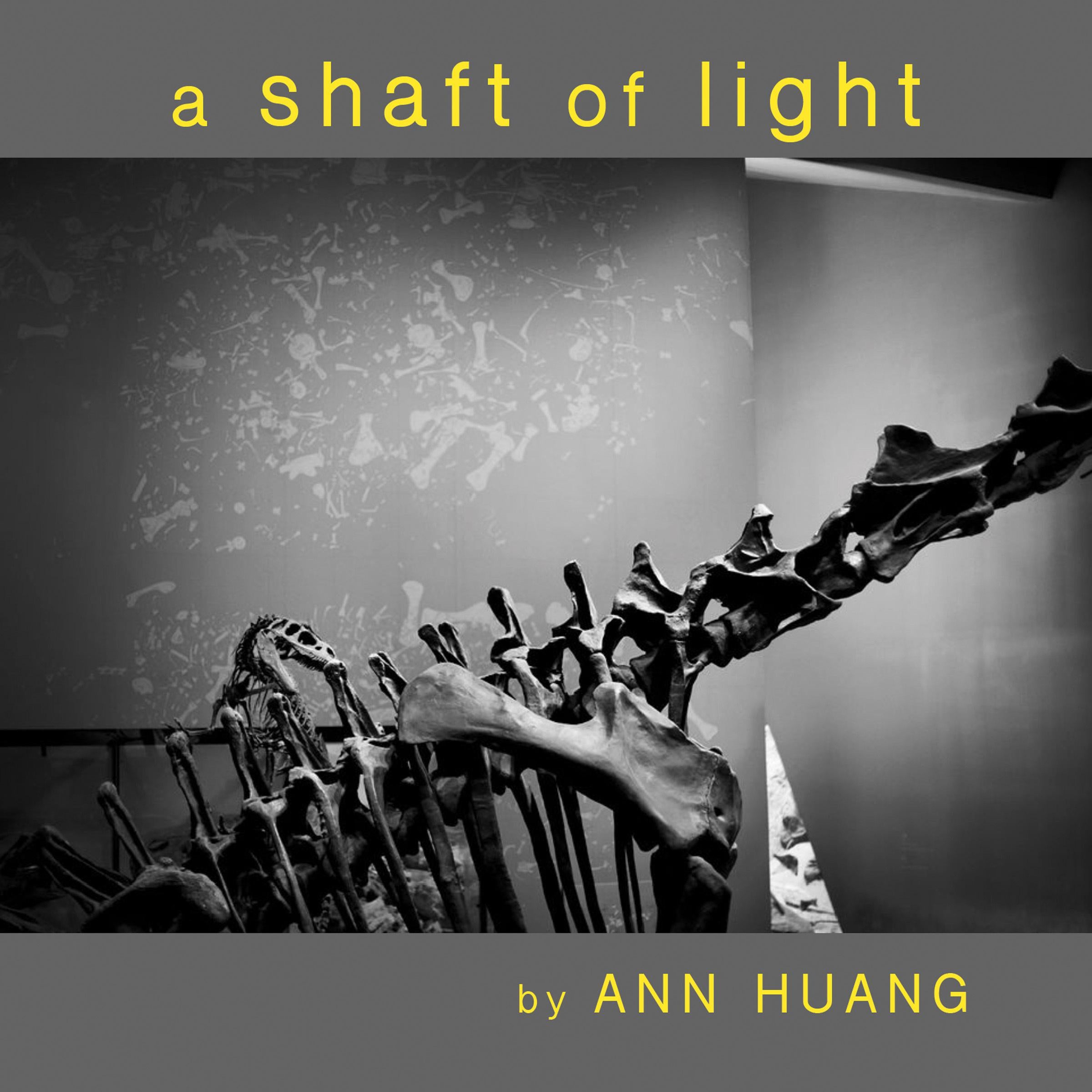 a Shaft of Light