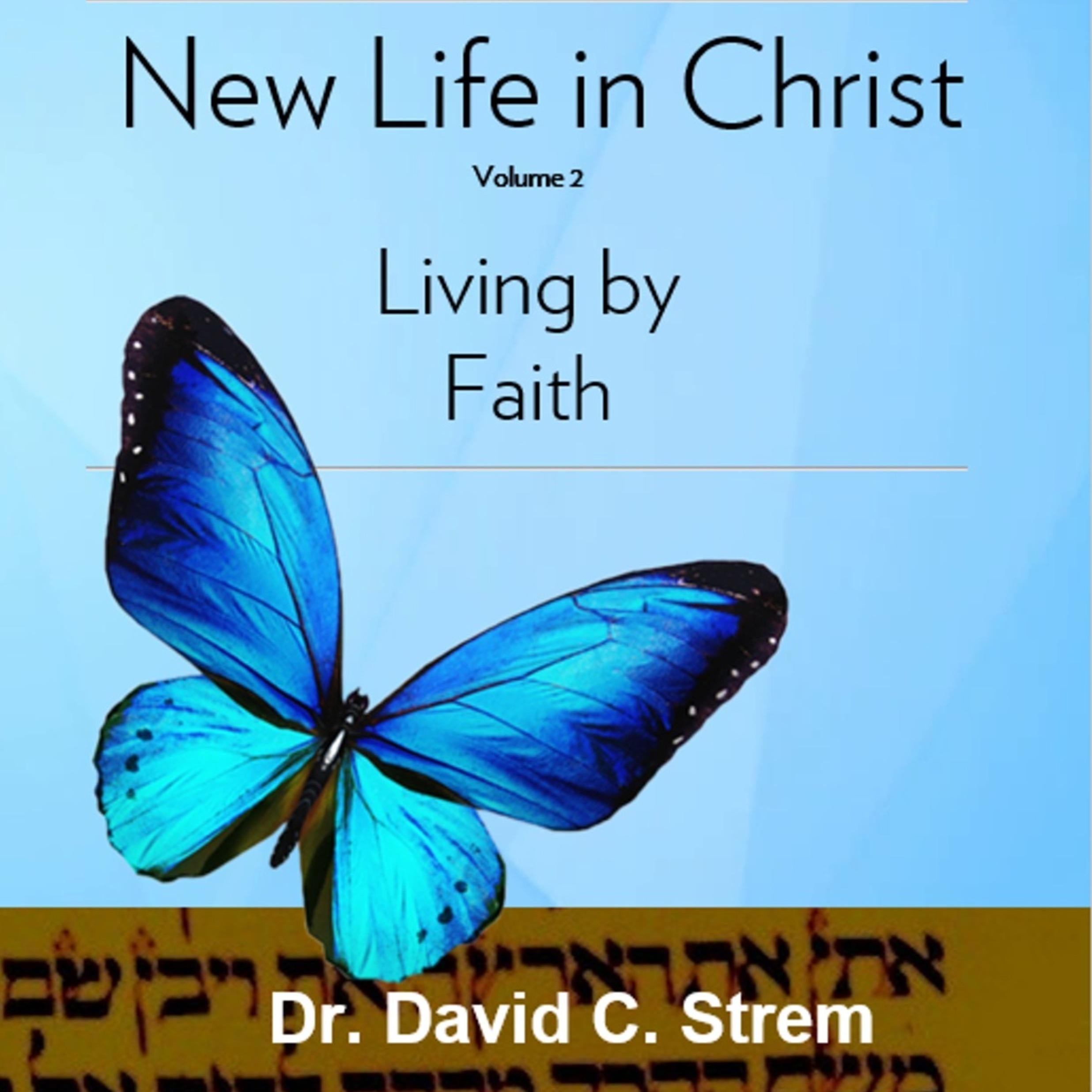New Life in Christ, Volume 2