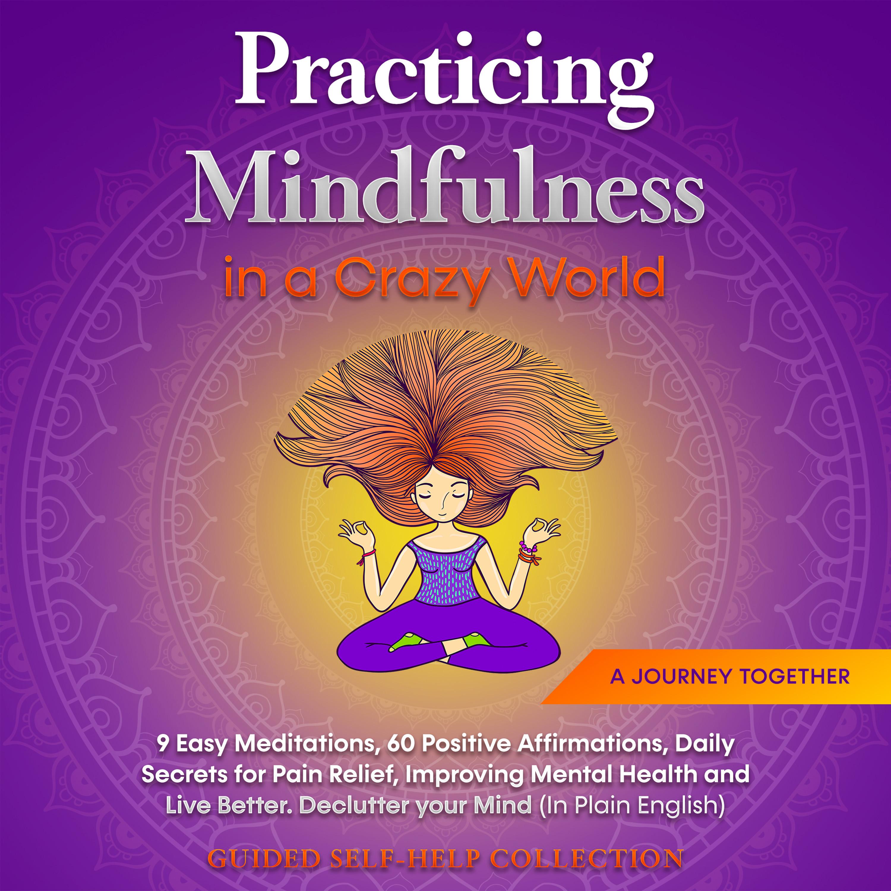 Practicing Mindfulness in a Crazy World