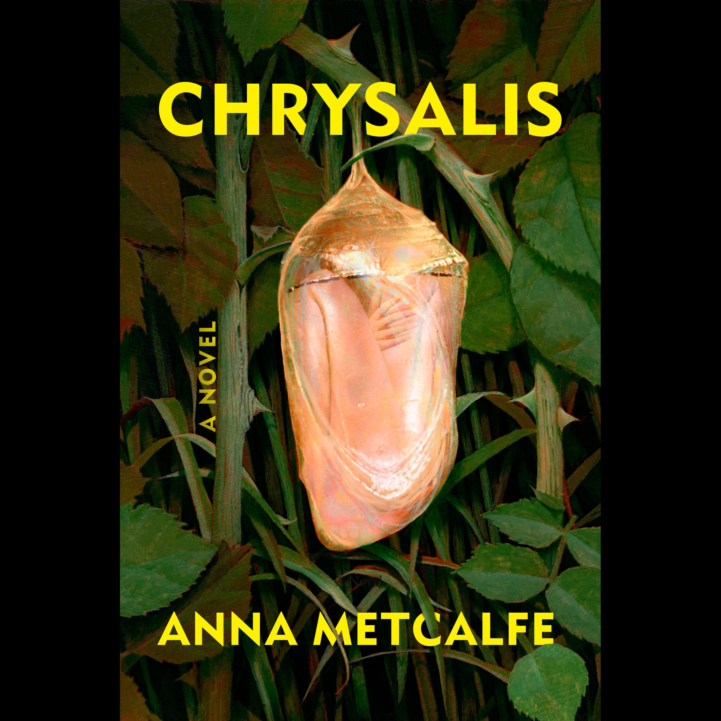 Chrysalis