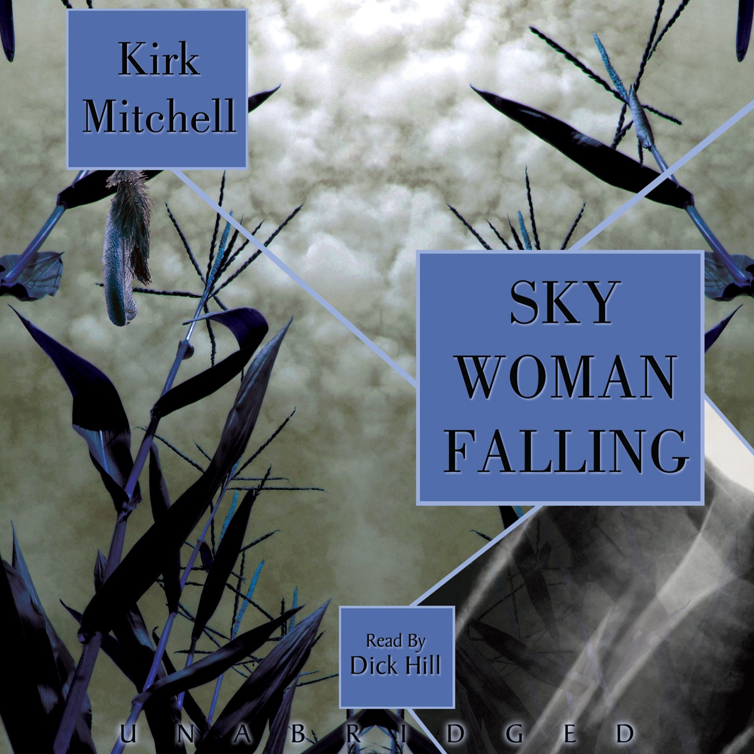 Sky Woman Falling