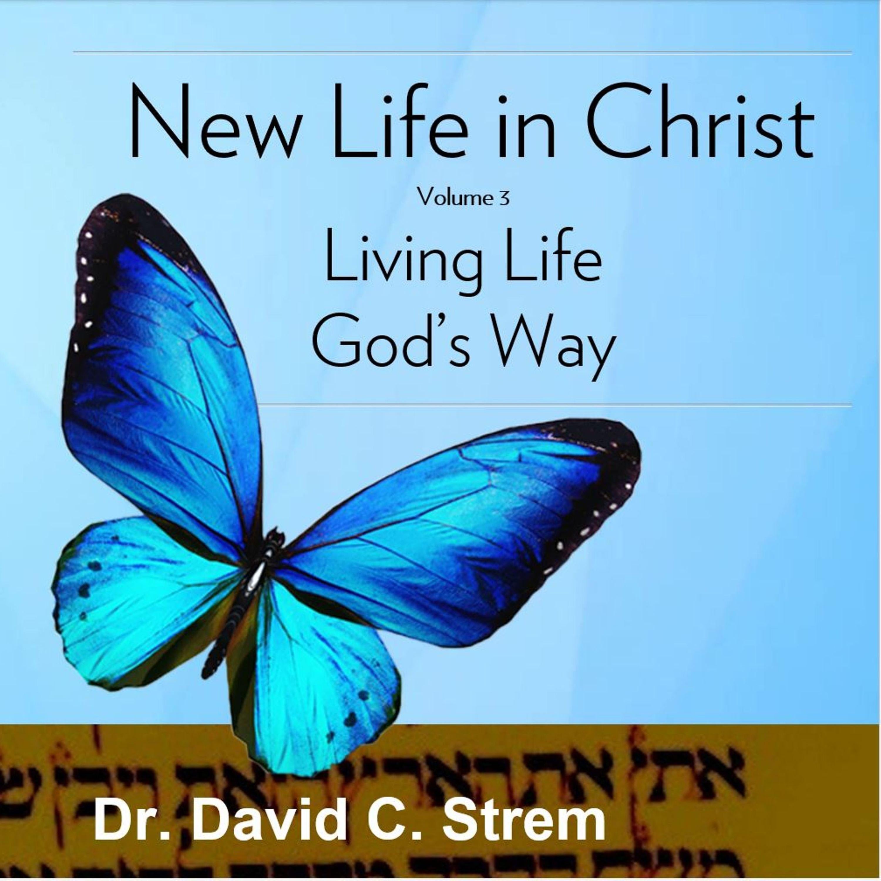 New Life in Christ, Volume 3.