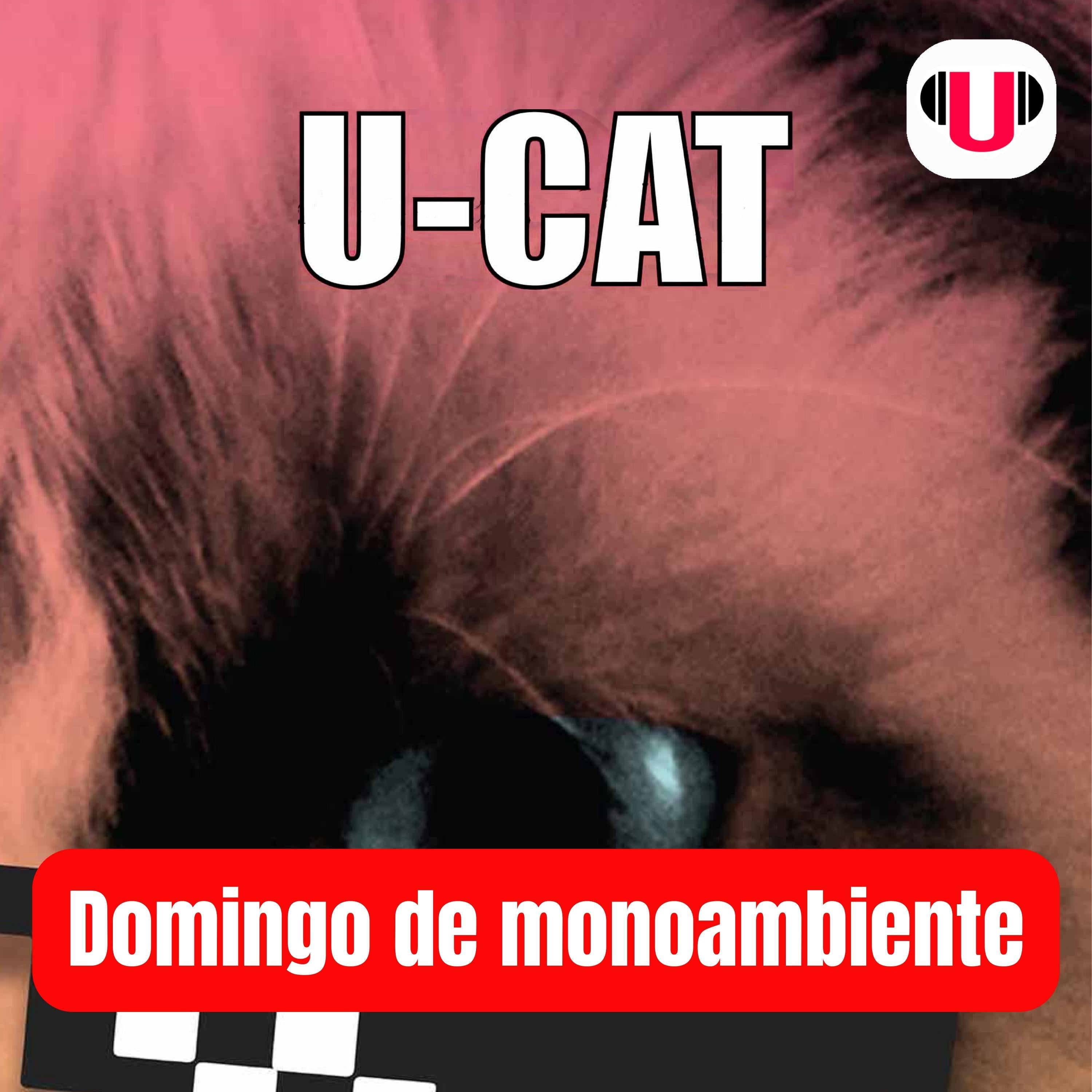 U_CAT: DOMINGO DE MONOAMBIENTE