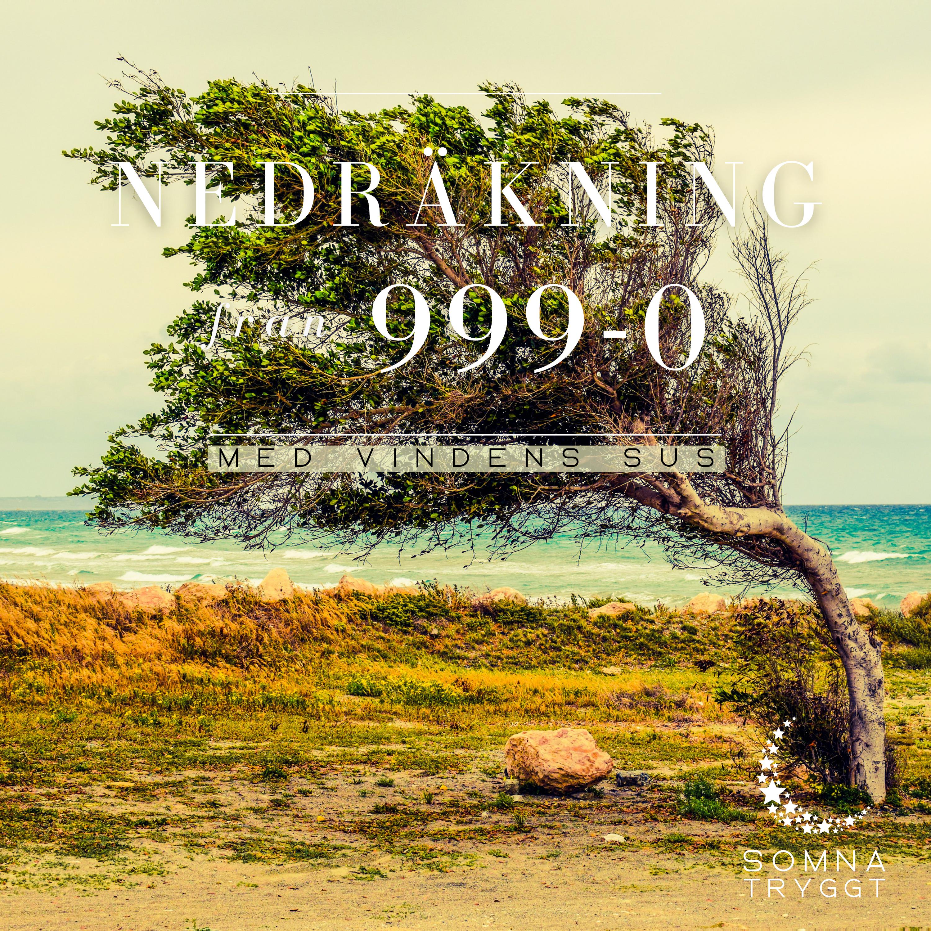 Nedräkning från 999-0: Med vindens sus