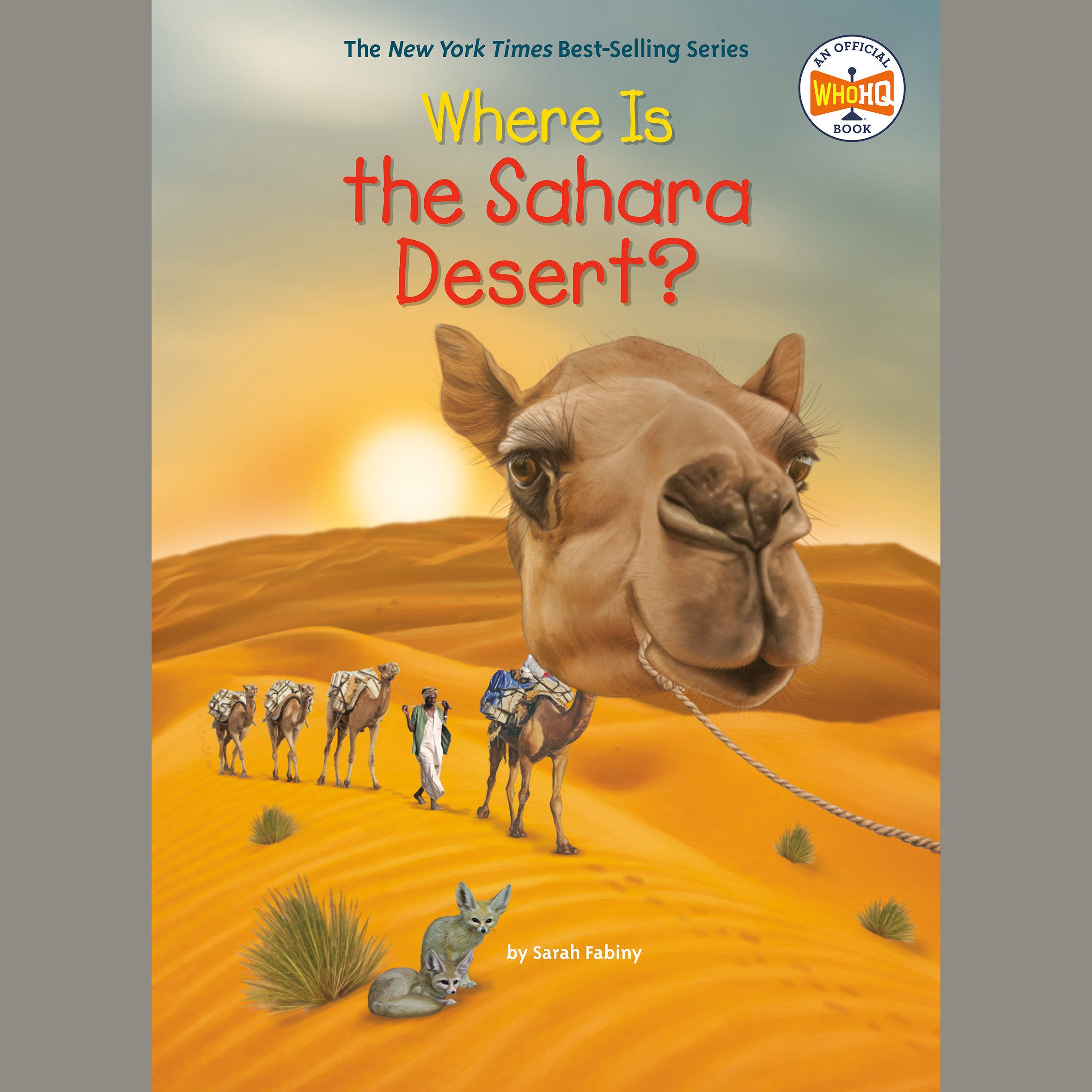 Where Is the Sahara Desert?