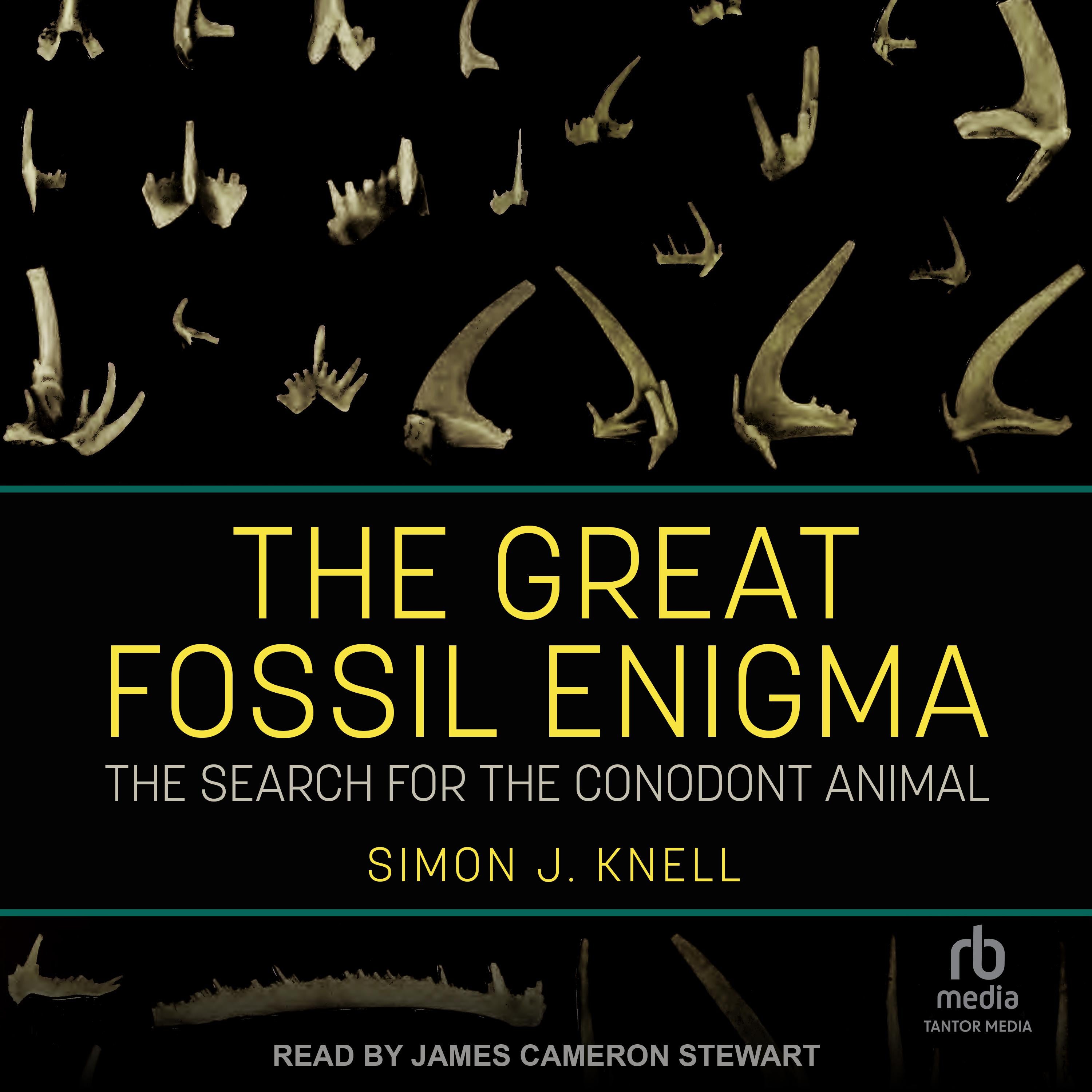 The Great Fossil Enigma