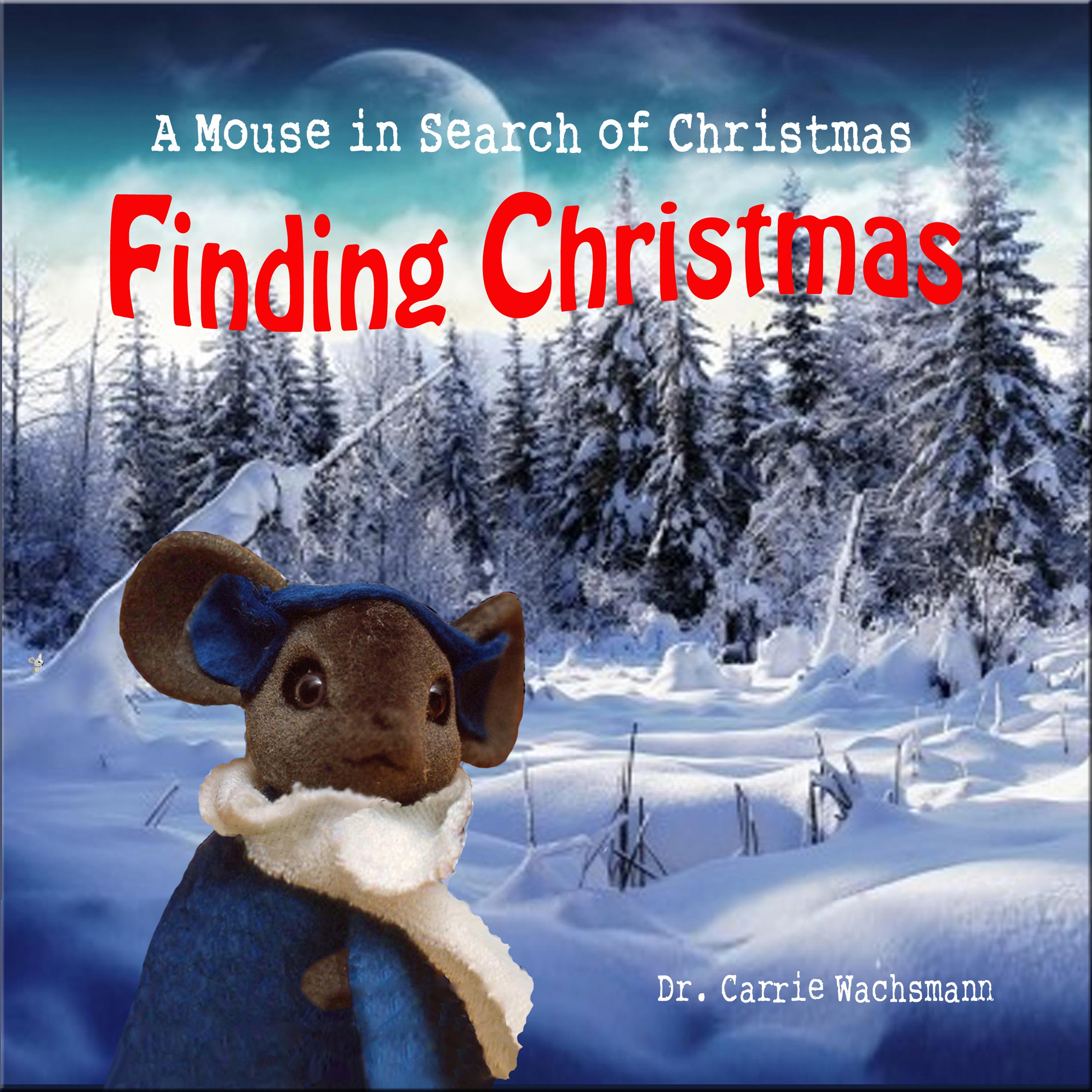 Finding Christmas