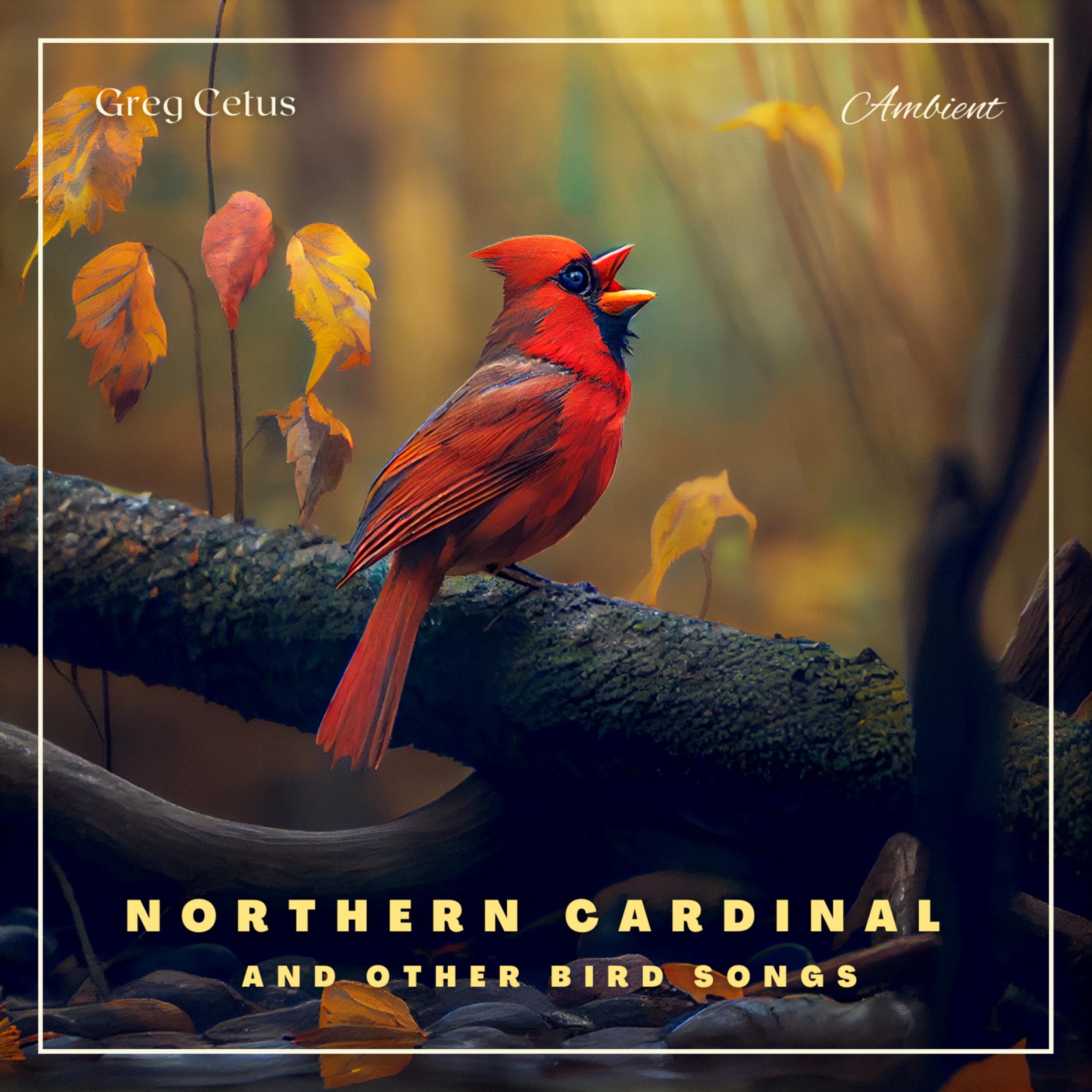 Northern Cardinal and Other Bird Songs: Nature Sounds for Relaxation
