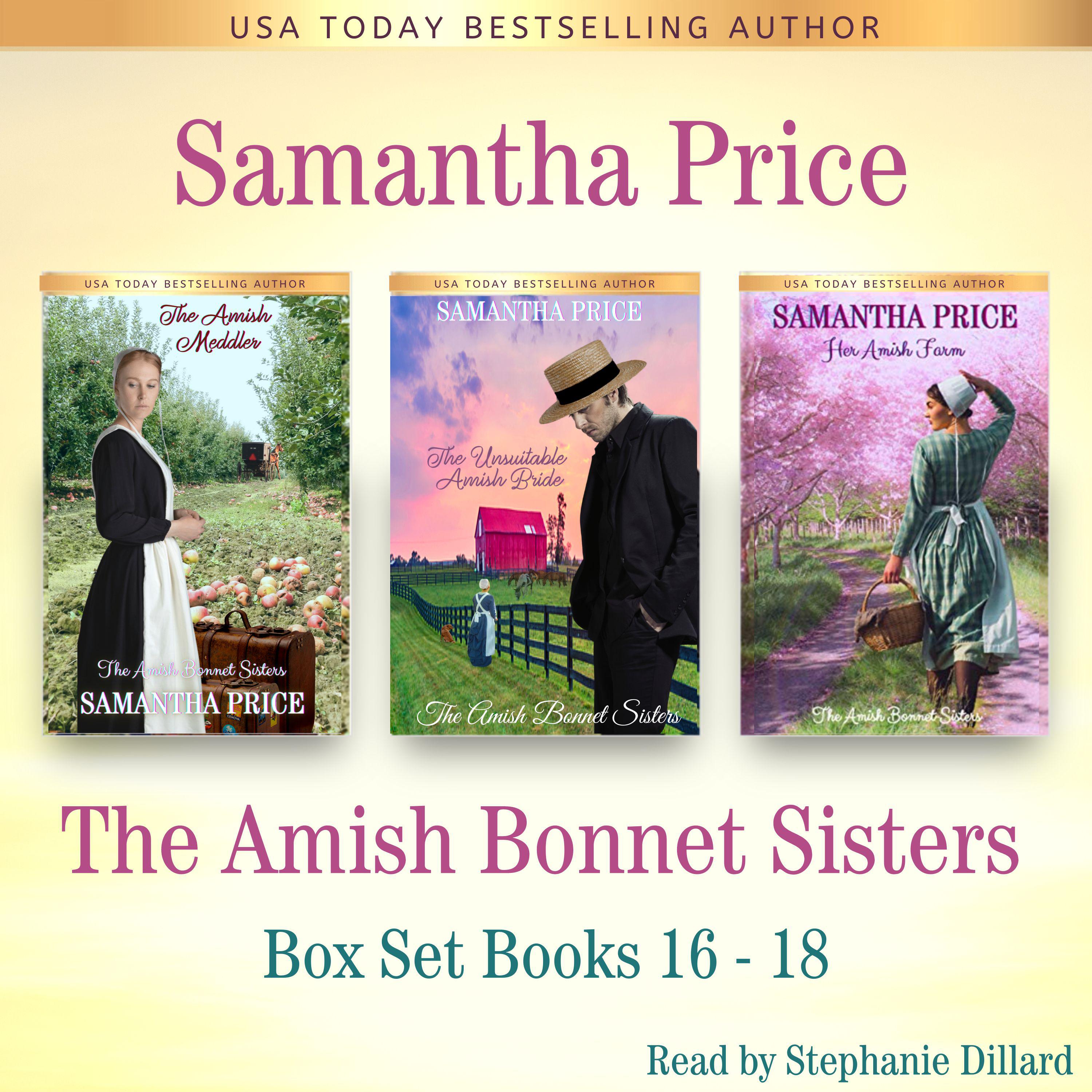 The Amish Bonnet Sisters series Boxed Set: Books 16 - 18