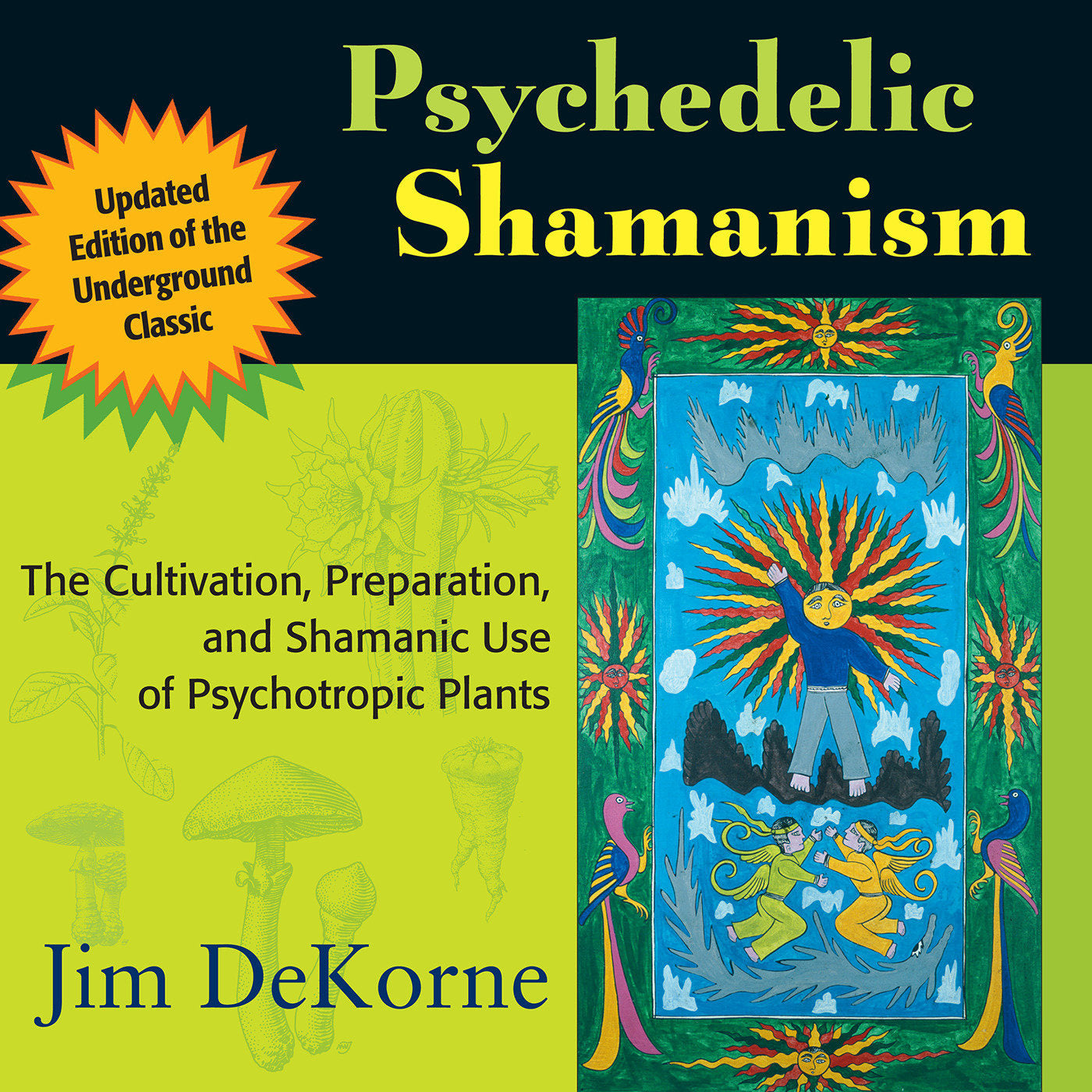Psychedelic Shamanism, Updated Edition