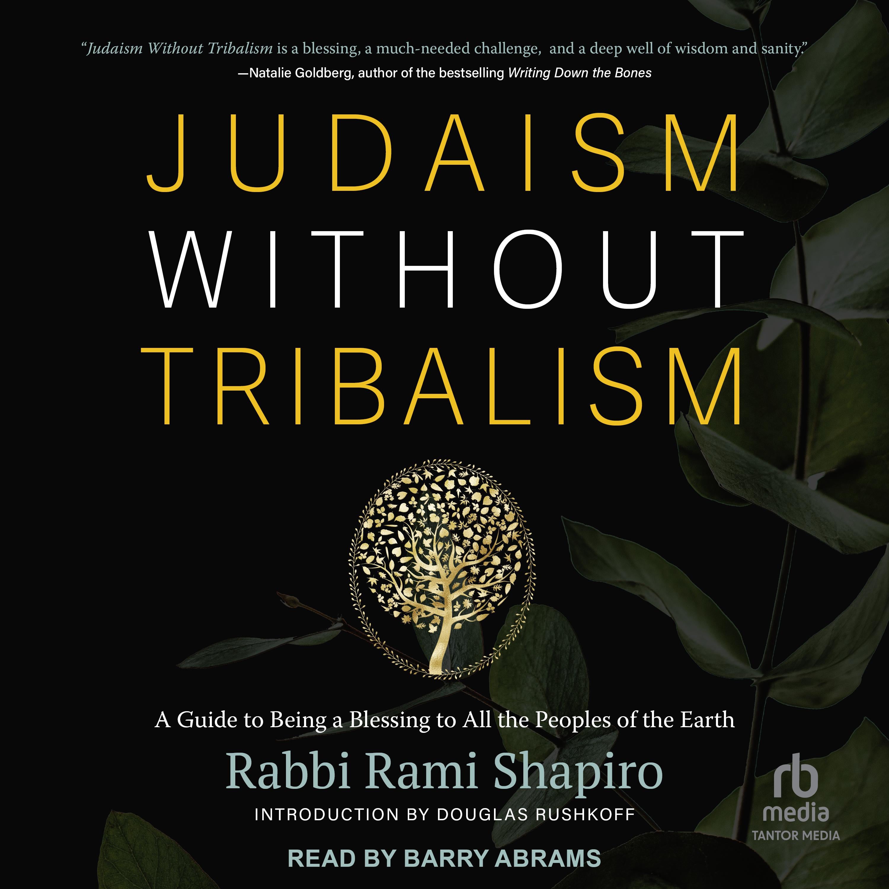 Judaism Without Tribalism