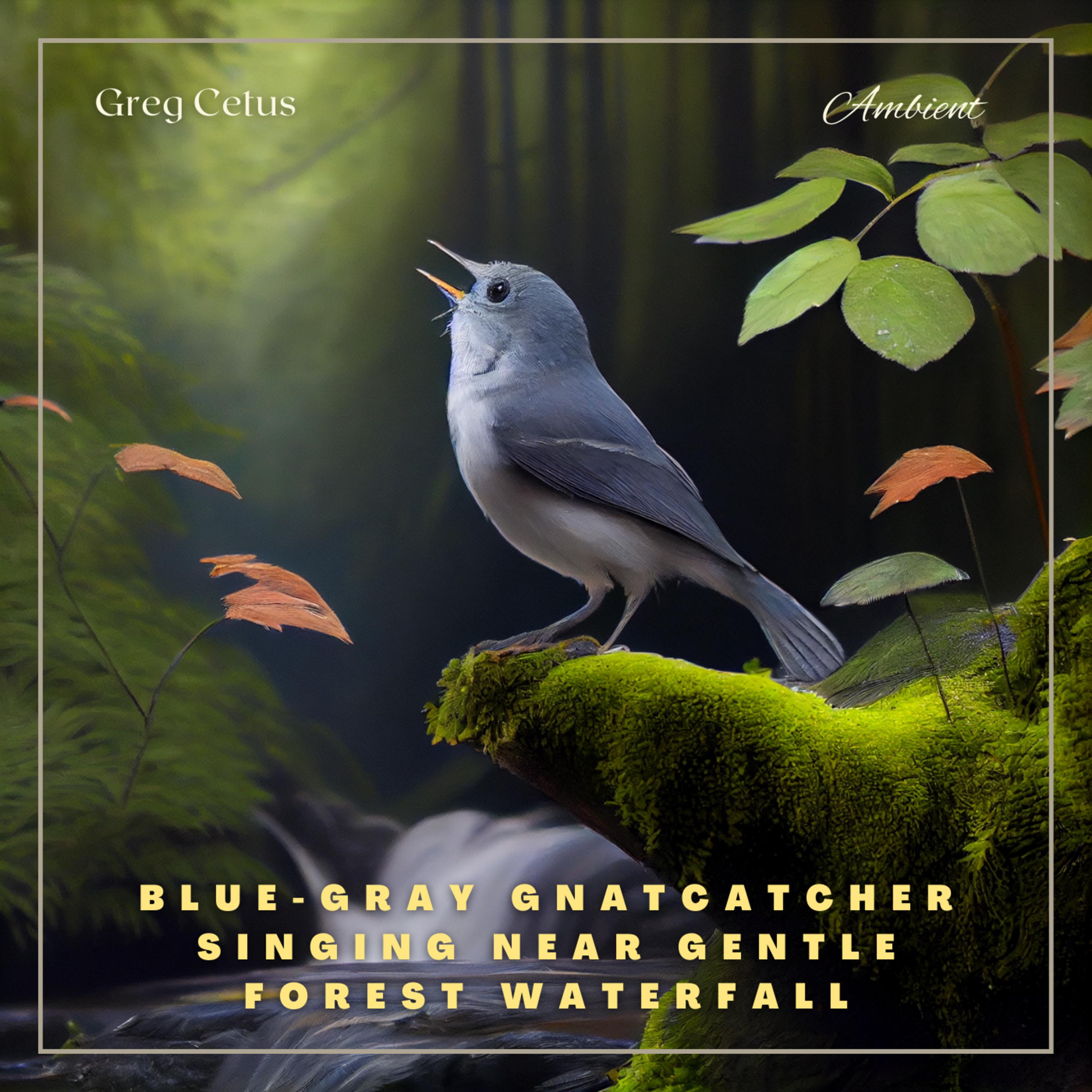Blue-gray Gnatcatcher Singing Near Gentle Forest Waterfall: Nature Sounds for Yoga and Relaxation