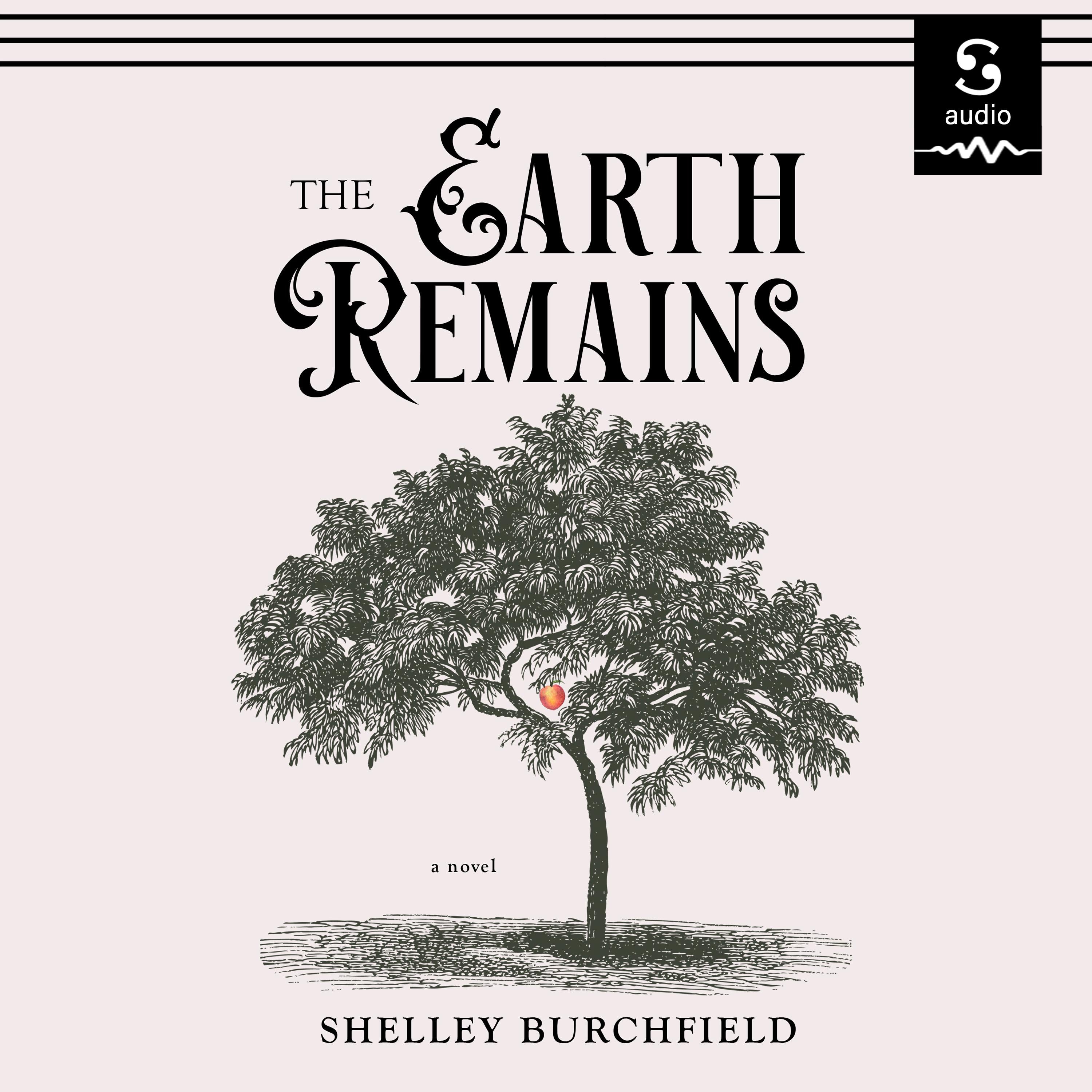 The Earth Remains