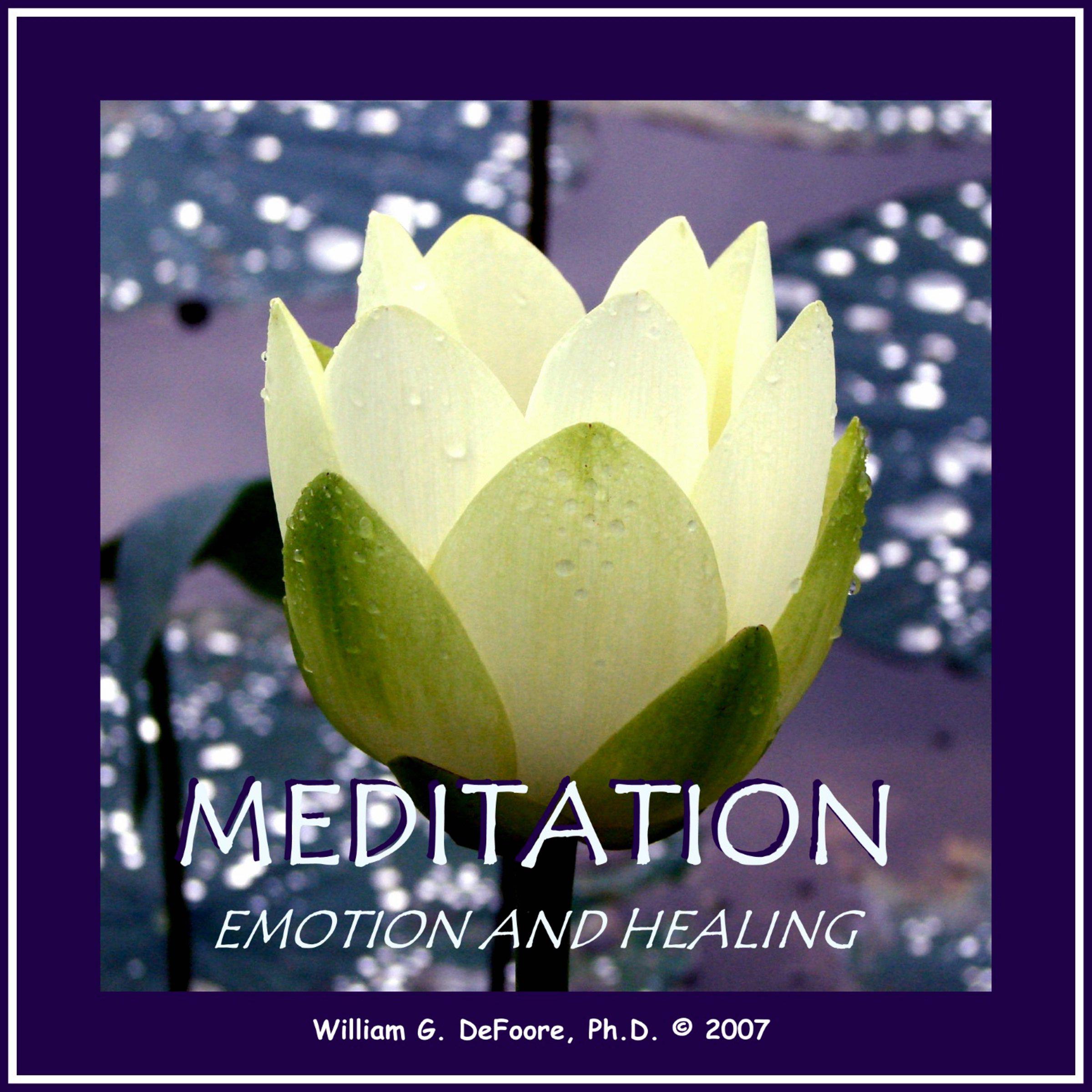Meditation, Emotion & Healing