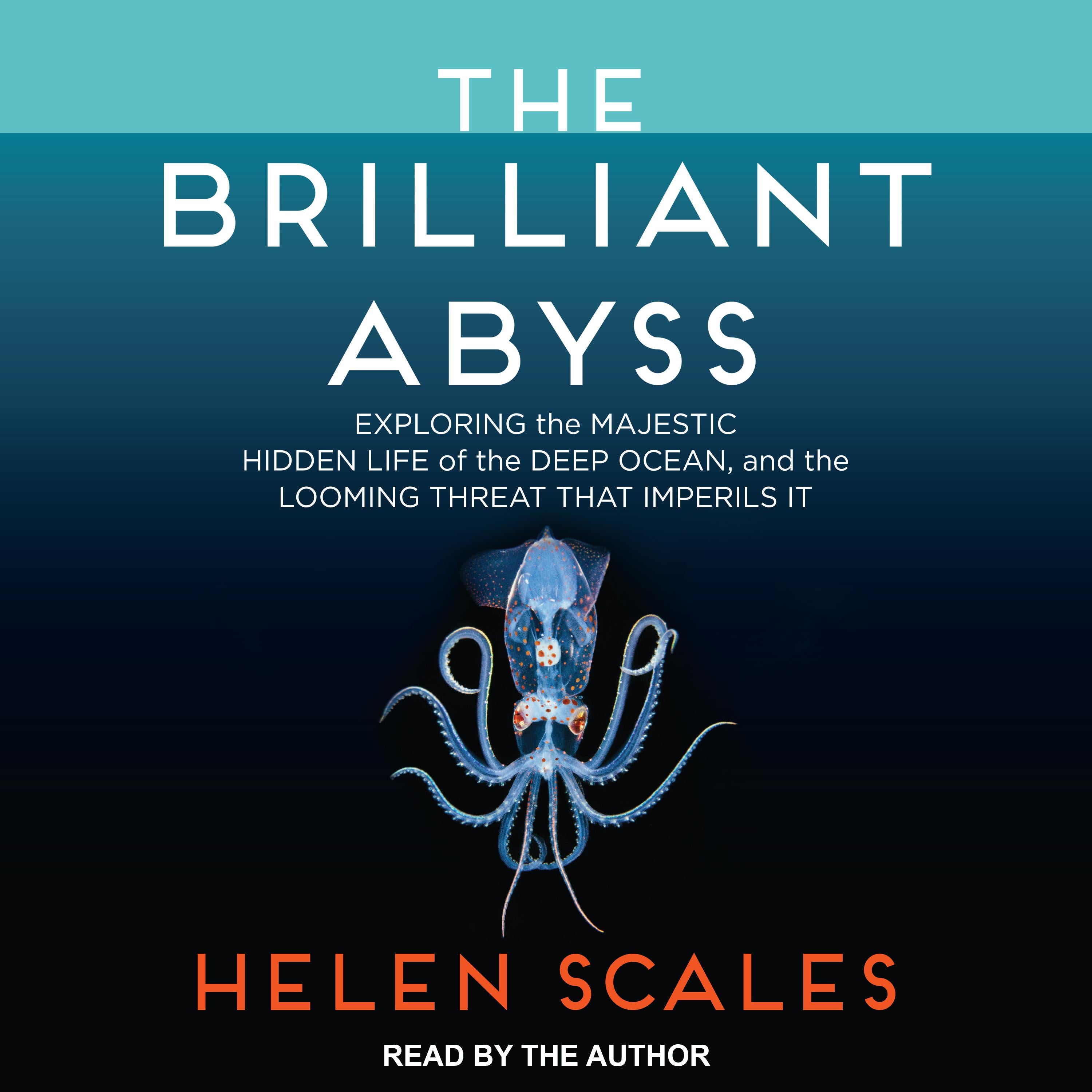 The Brilliant Abyss