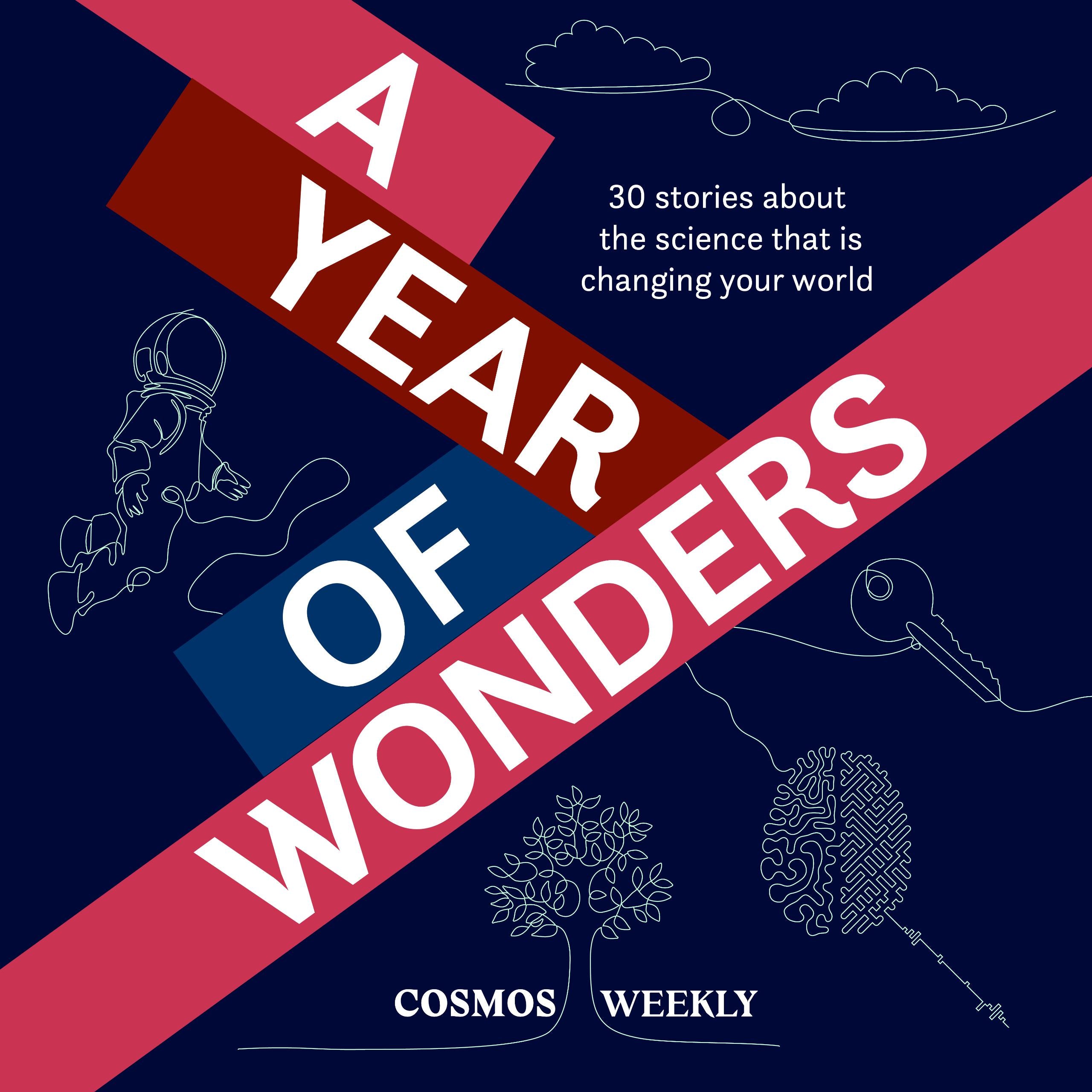 Cosmos Weekly's Year of Wonders