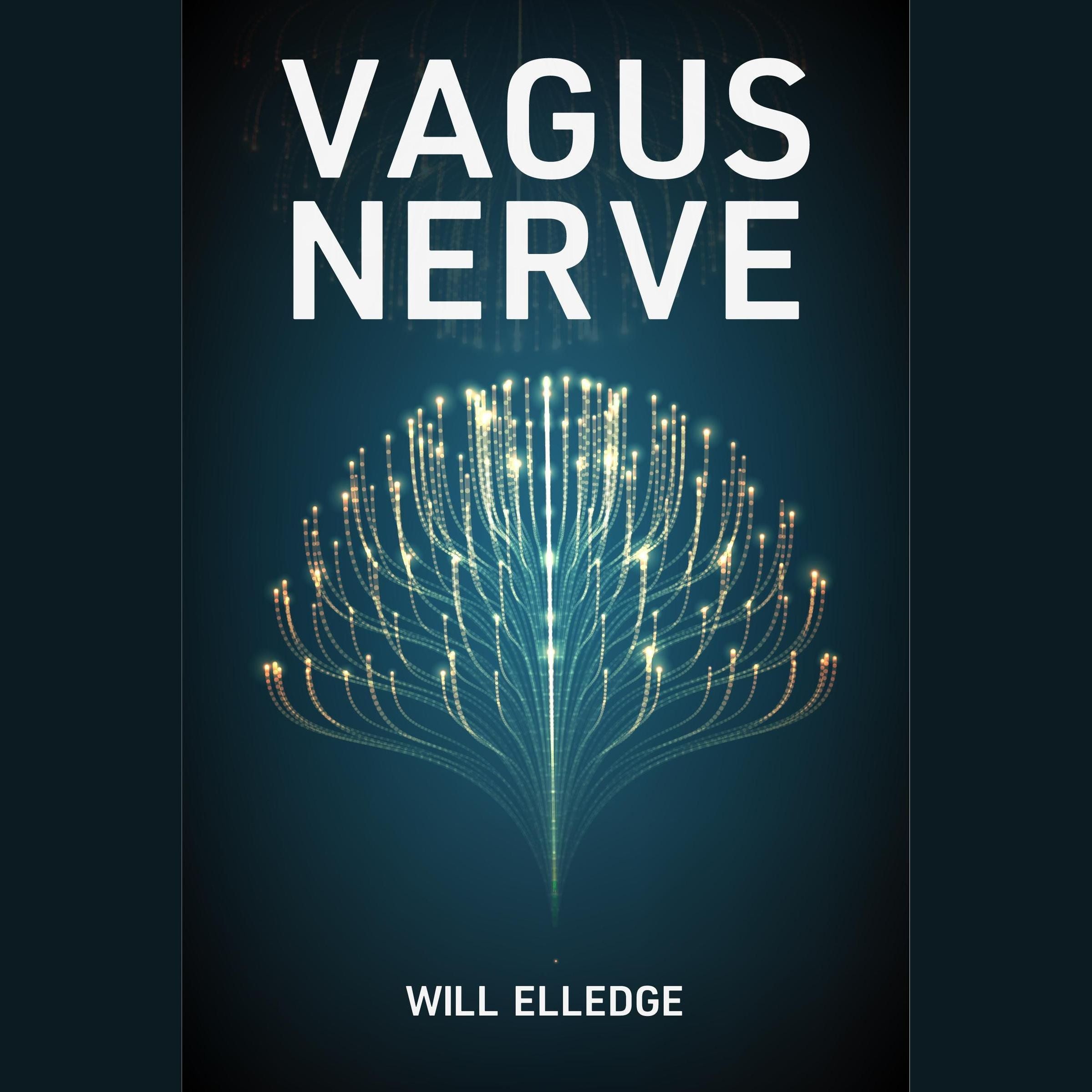 Vagus Nerve