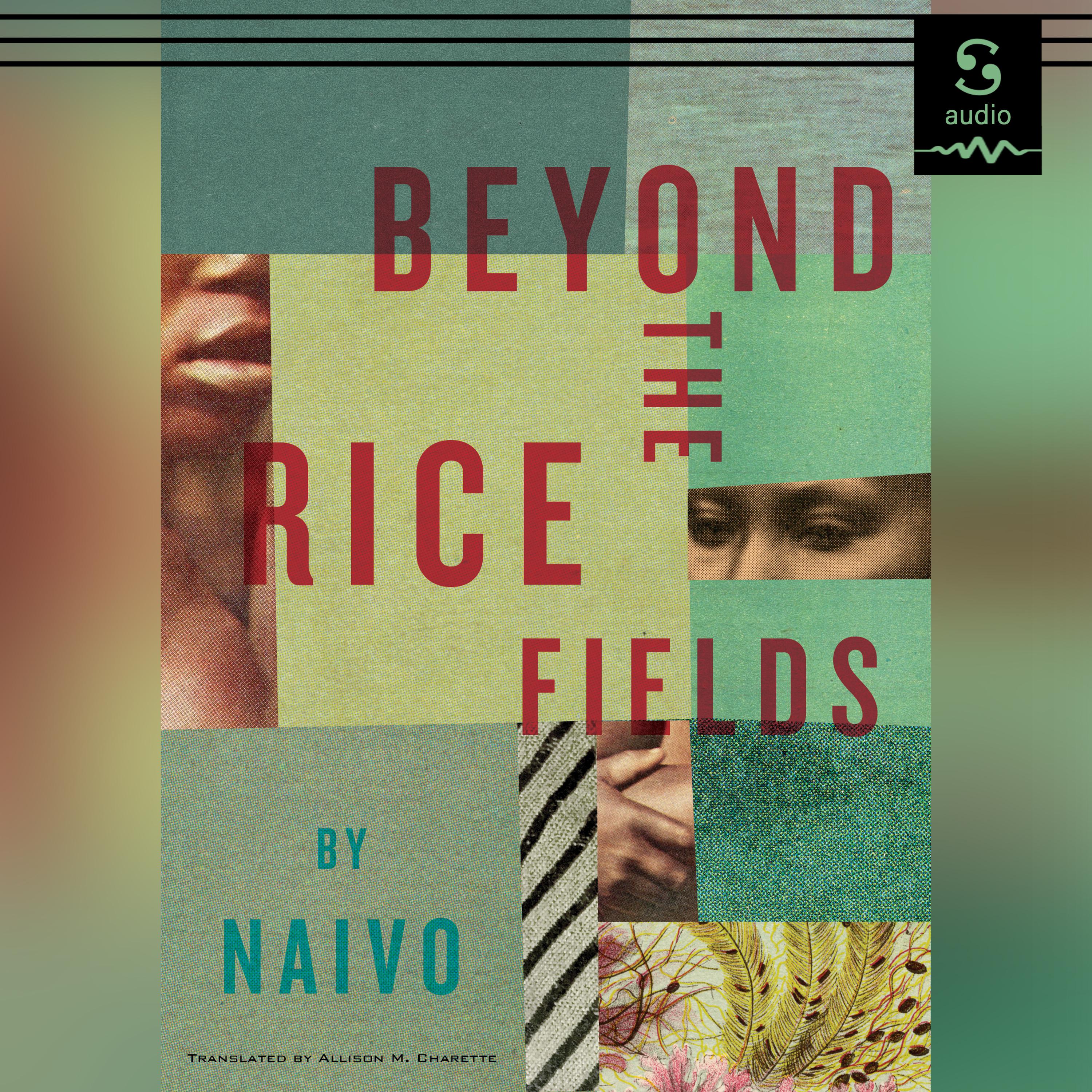 Beyond the Rice Fields