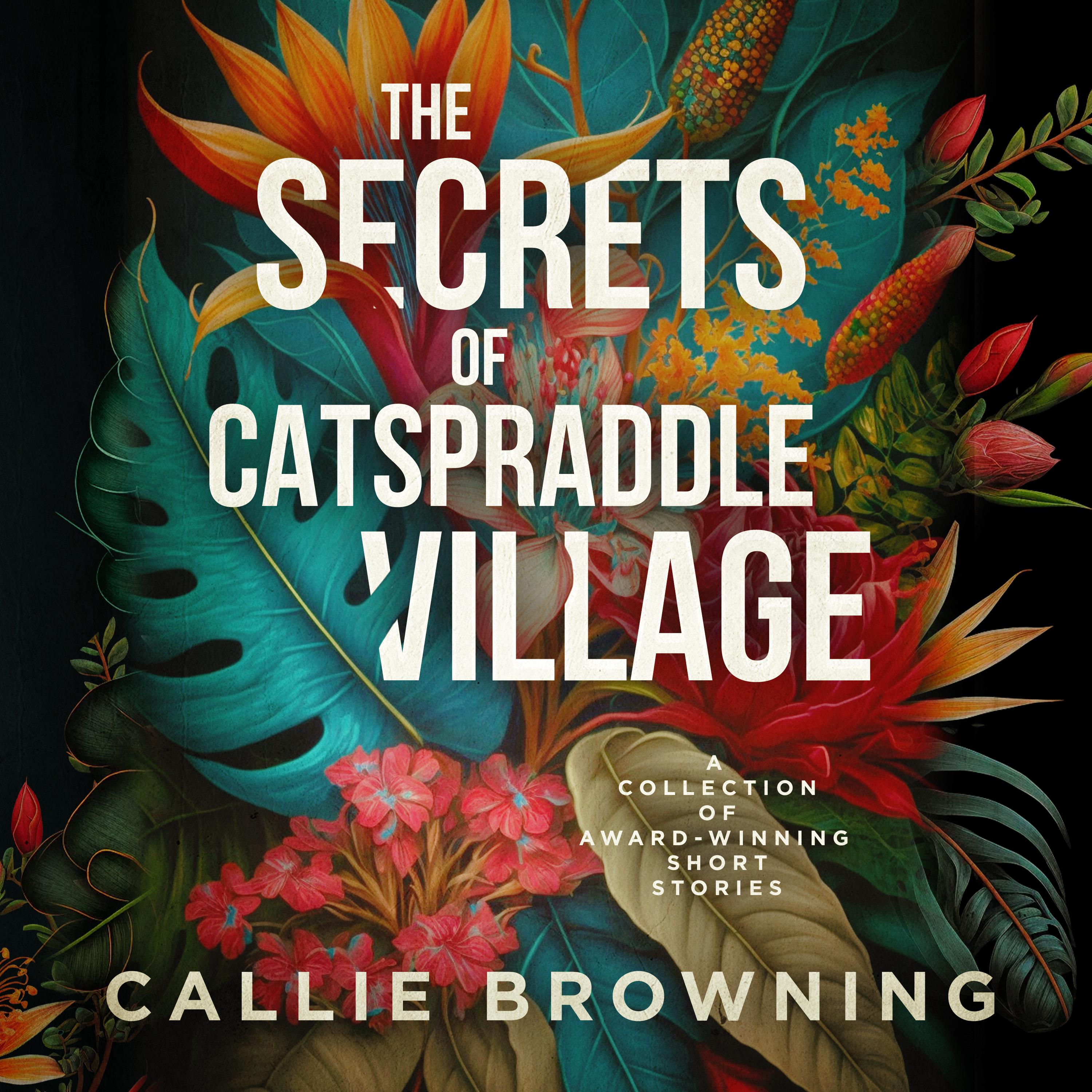 The Secrets of Catspraddle Village