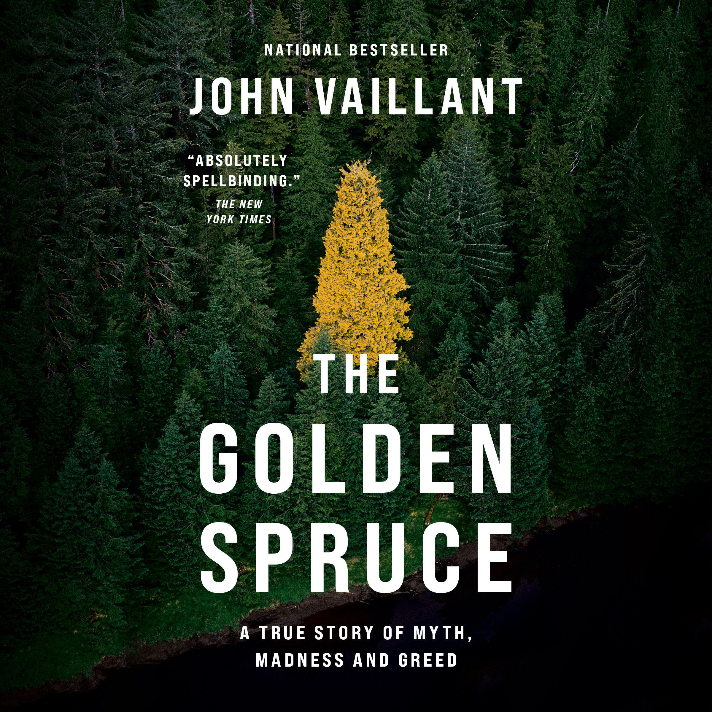 The Golden Spruce