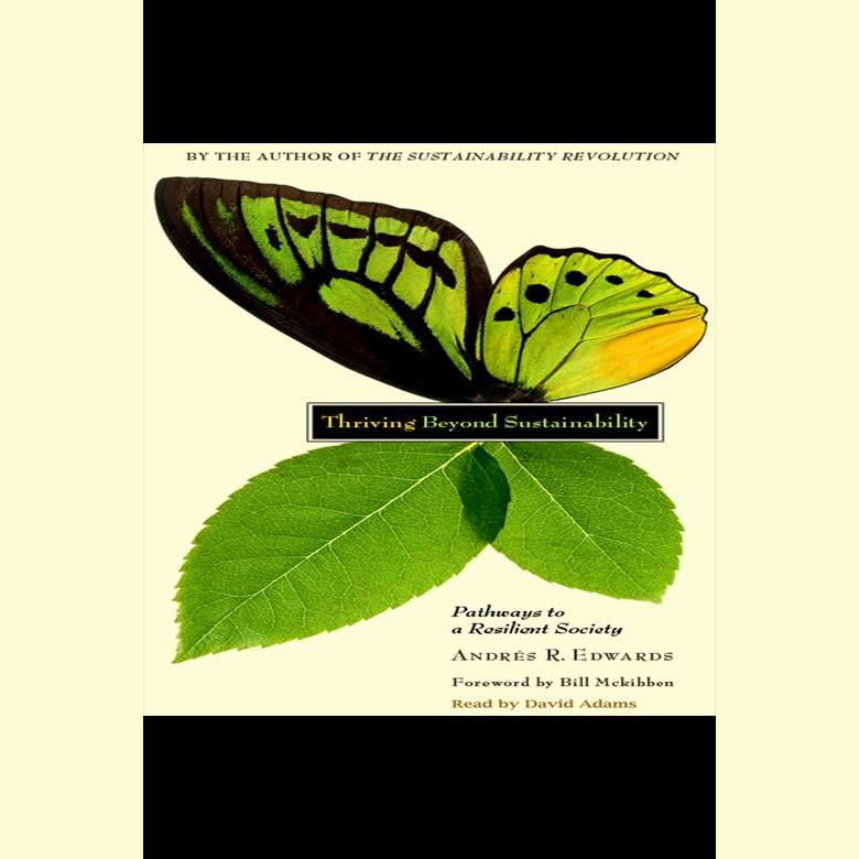 Thriving beyond Sustainability