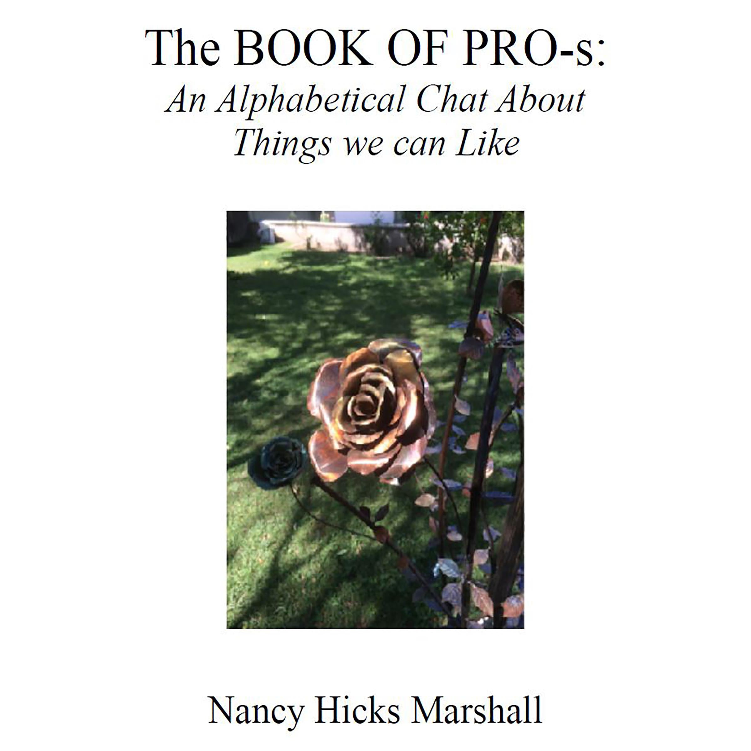 THE BOOK OF PRO-s:
