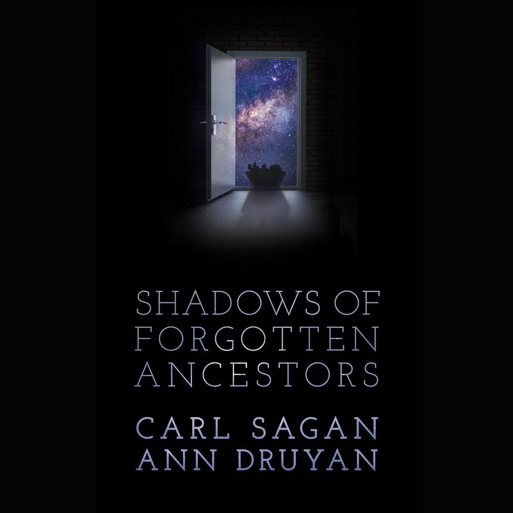 Shadows of Forgotten Ancestors
