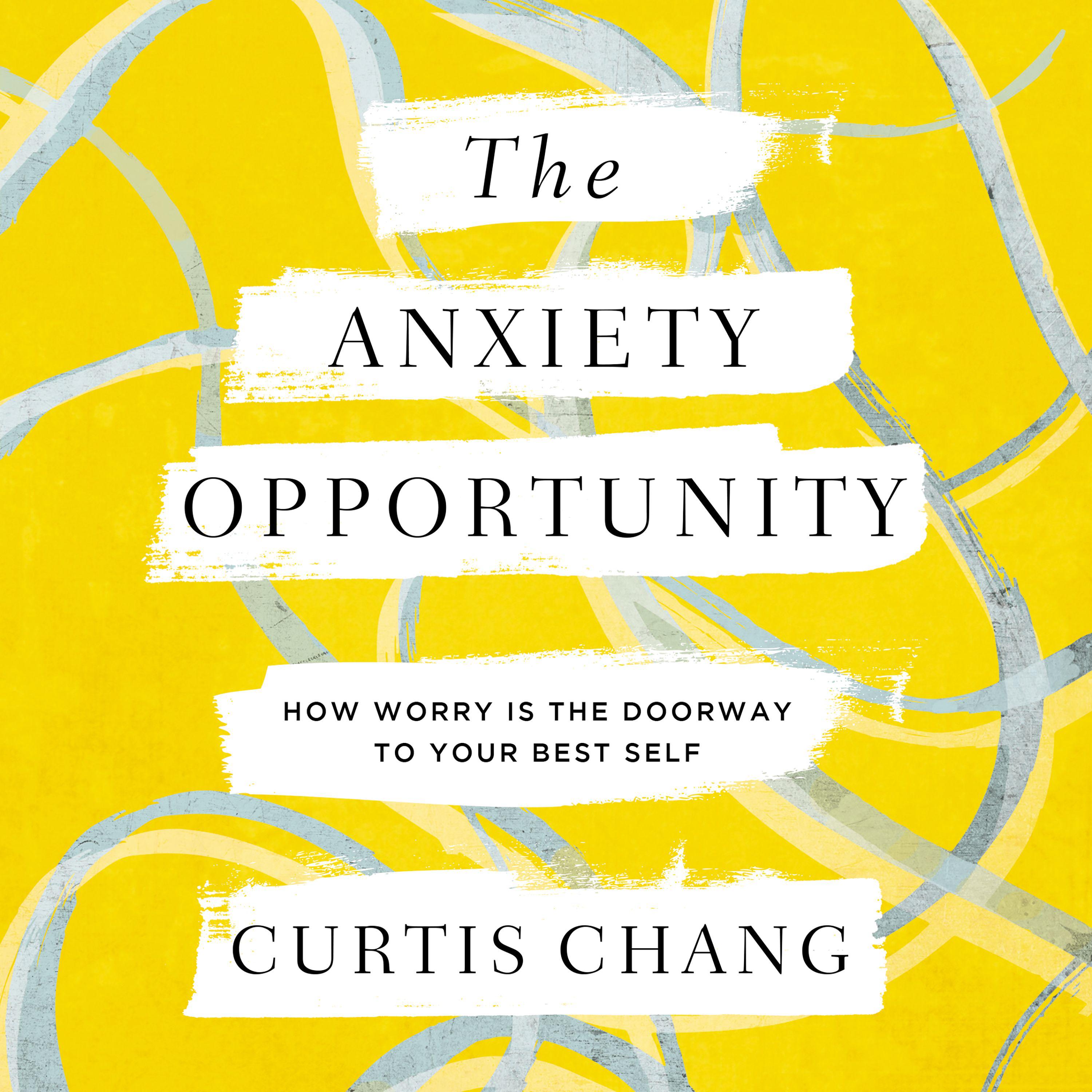 The Anxiety Opportunity