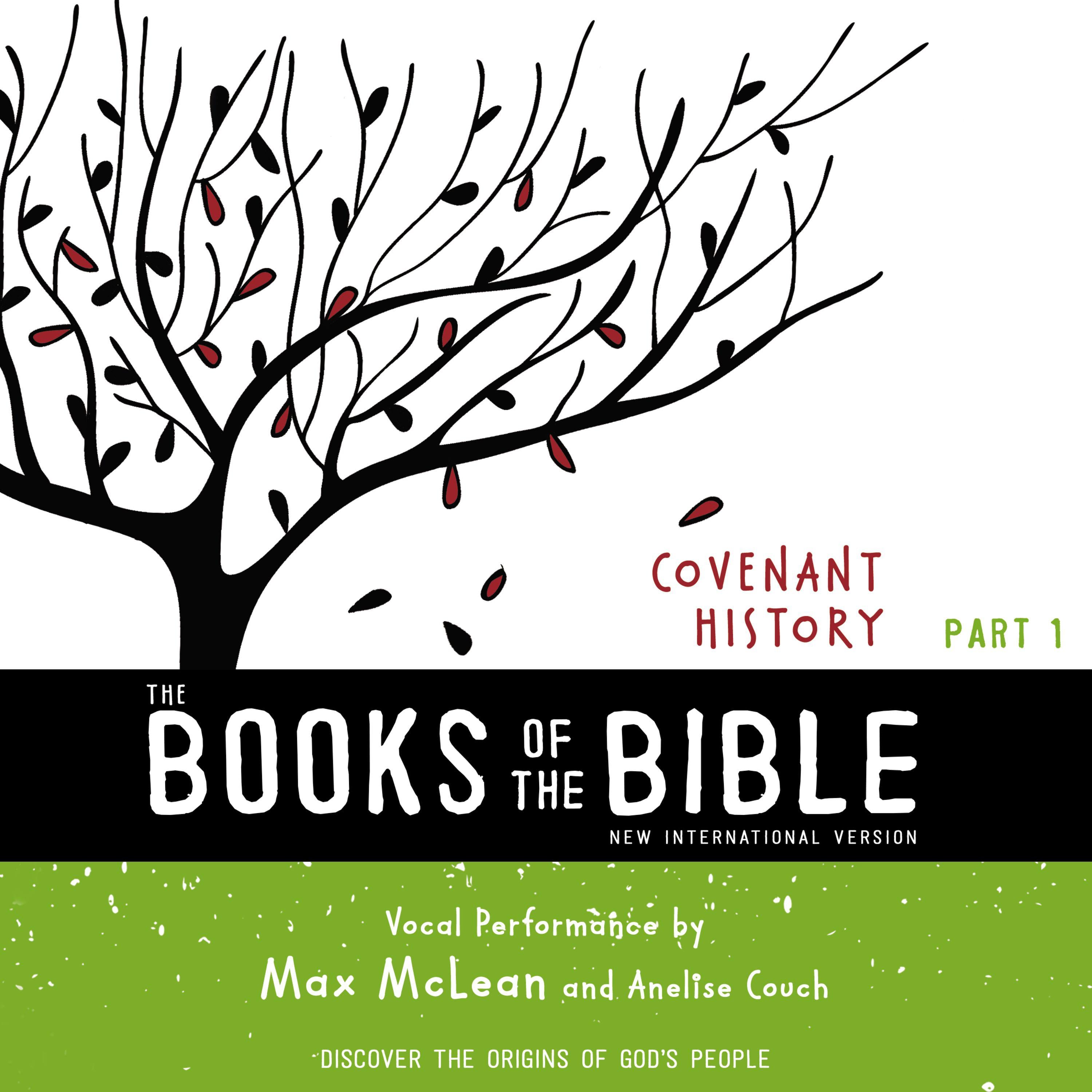 The Books of the Bible Audio Bible - New International Version, NIV: Covenant History