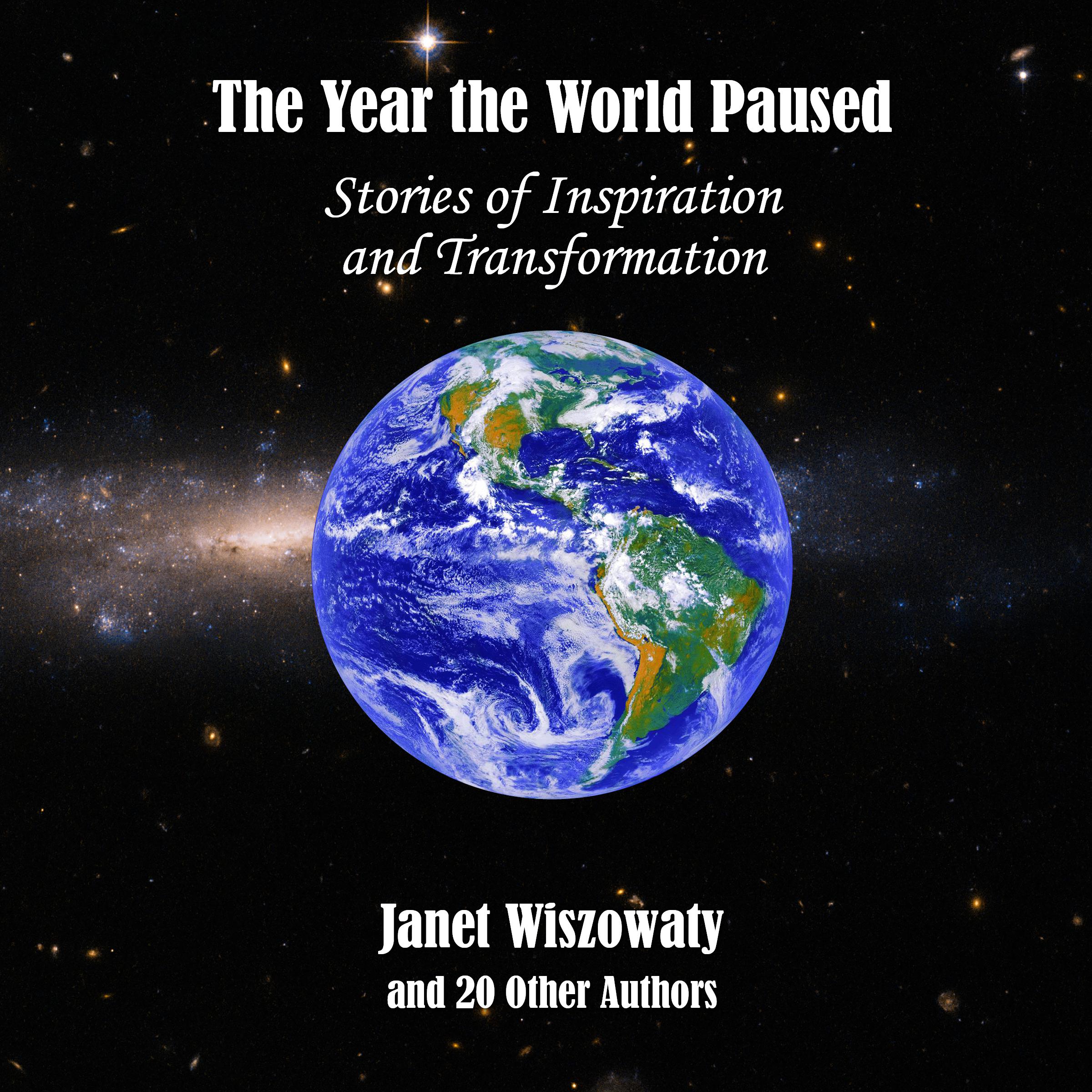 The Year the World Paused