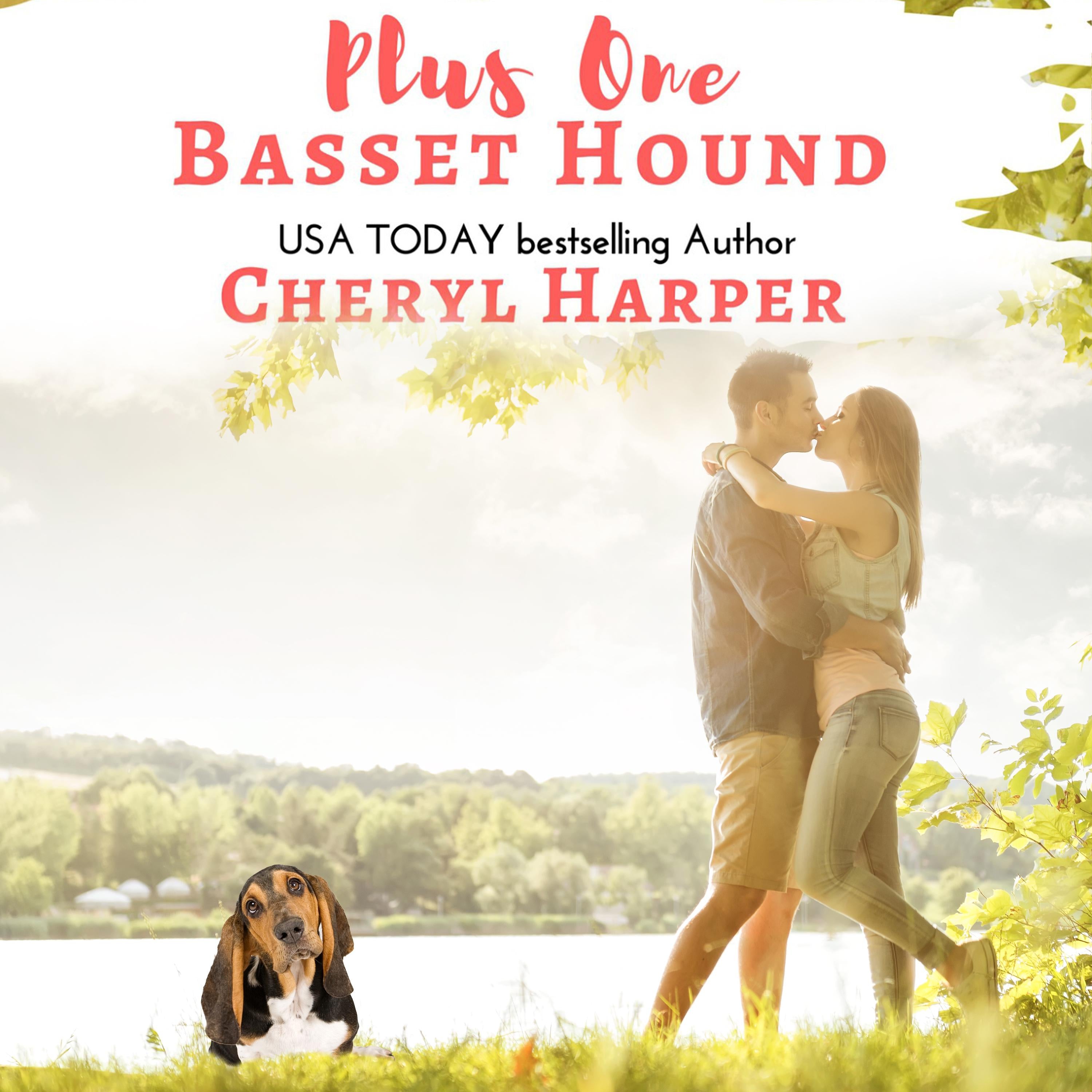 Plus One Basset Hound