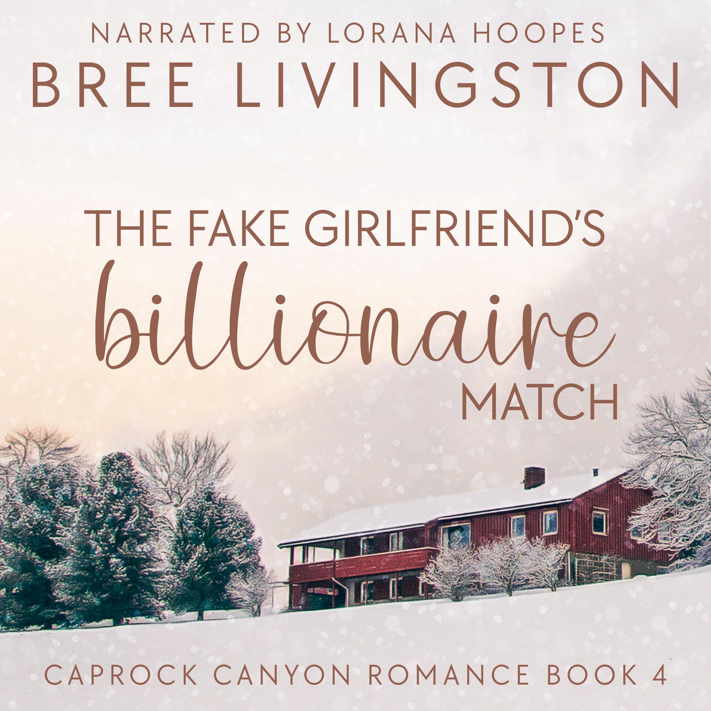 The Fake Girlfriend's Billionaire Match