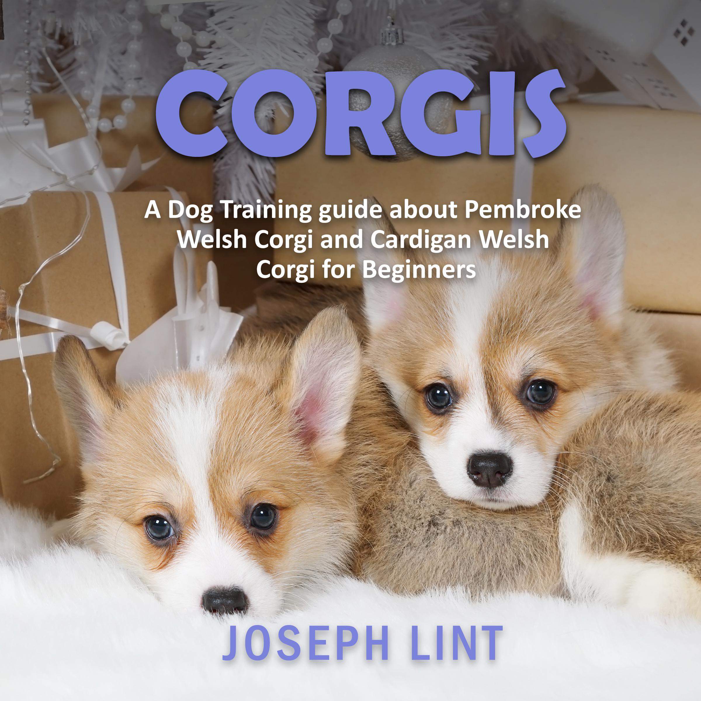 Corgis