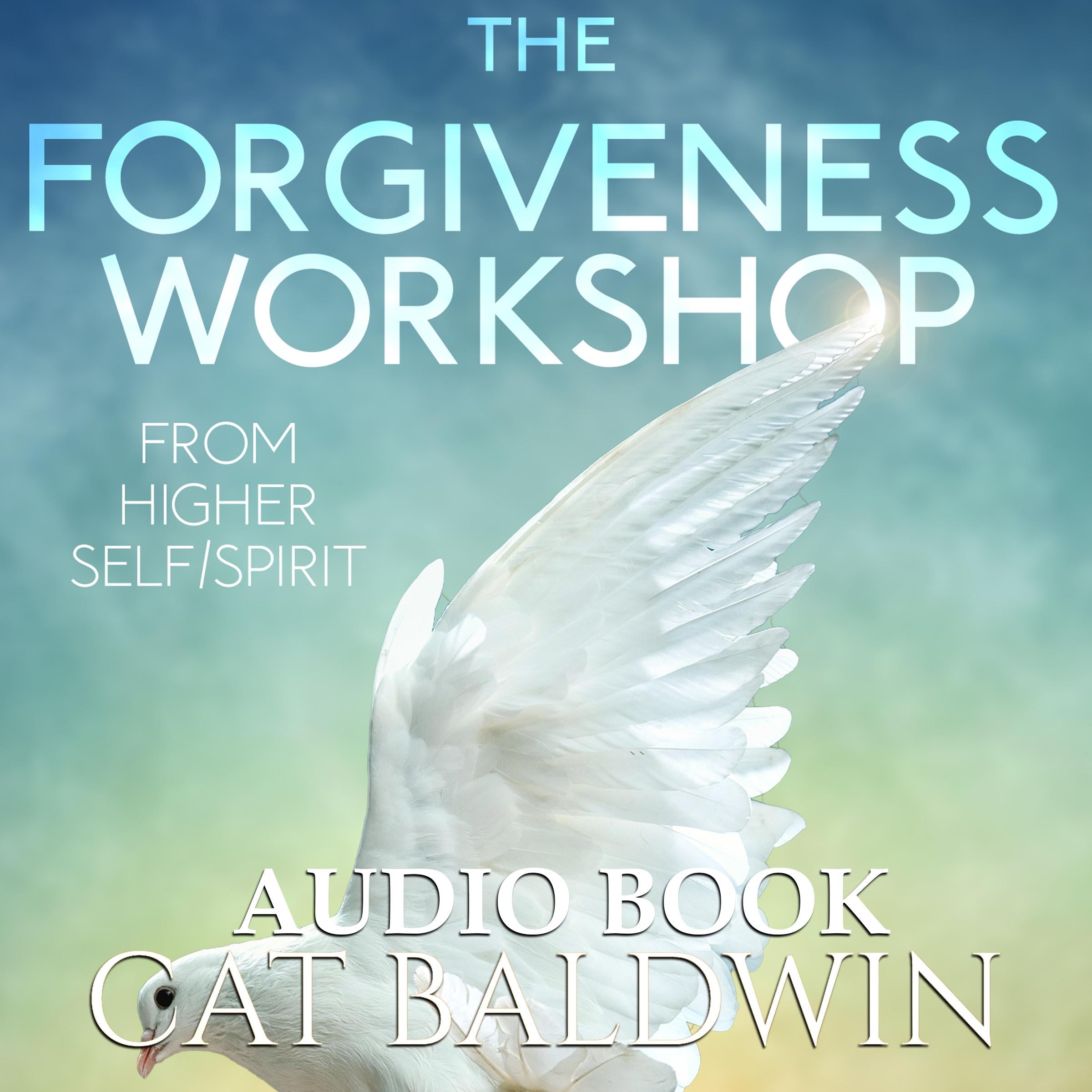 The Forgiveness Workshop: From Higher Self/Spirit